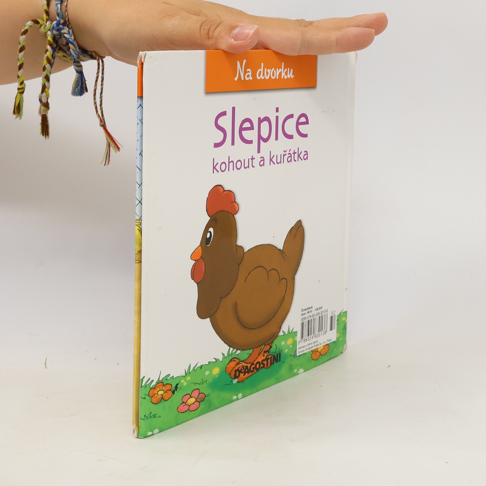 Autorenkollektiv Na dvorku 13. Slepice