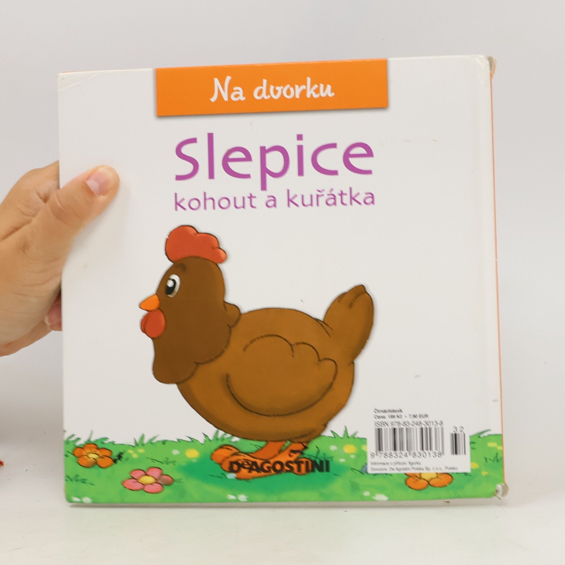 Autorenkollektiv Na dvorku 13. Slepice