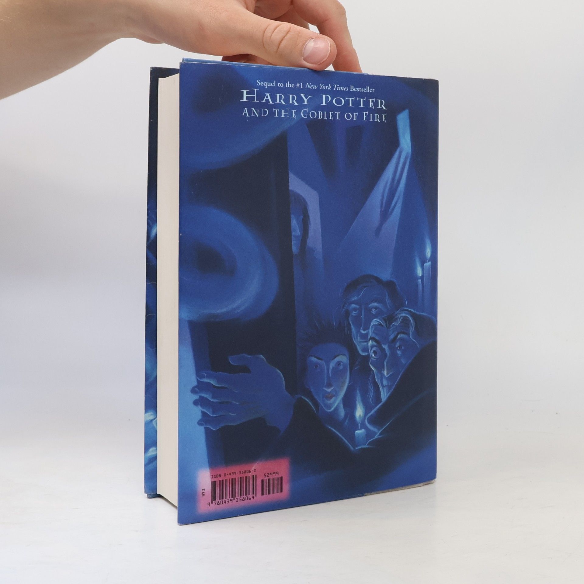 Mary GrandPré Harry Potter and The Order of the Phoenix