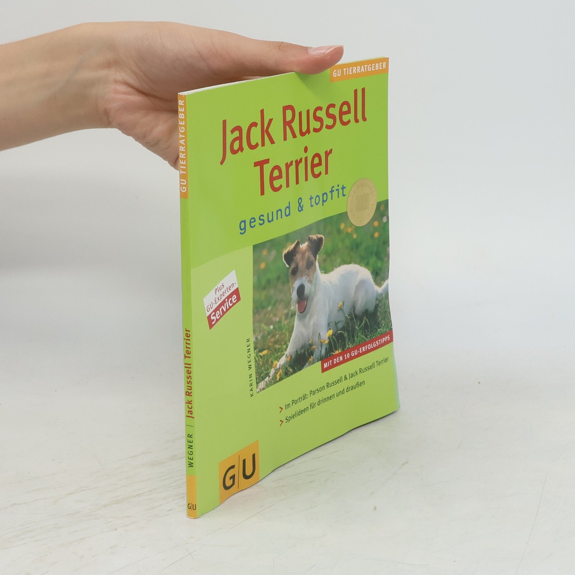 Jack Russell Terrier