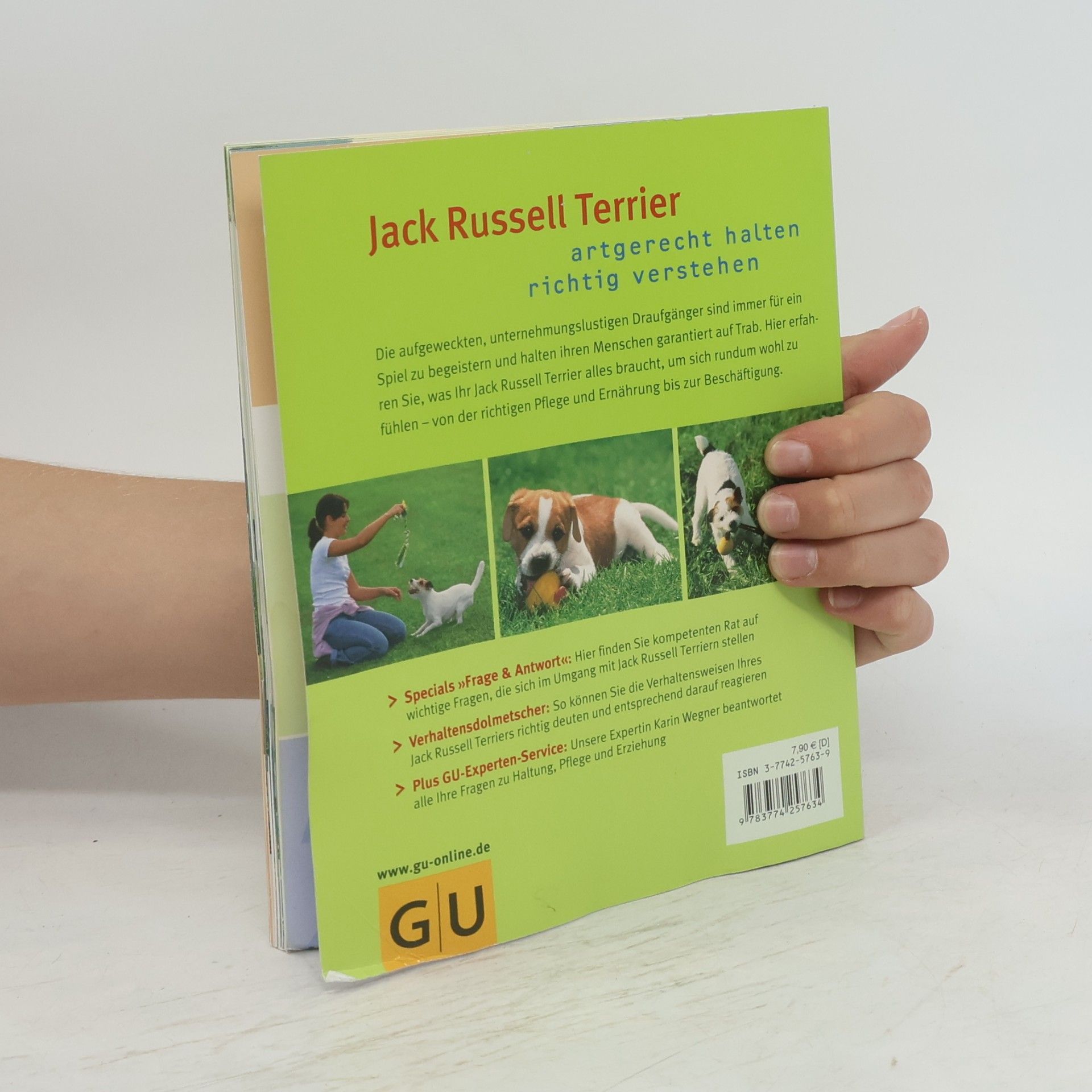Karin Wegner Jack Russell Terrier