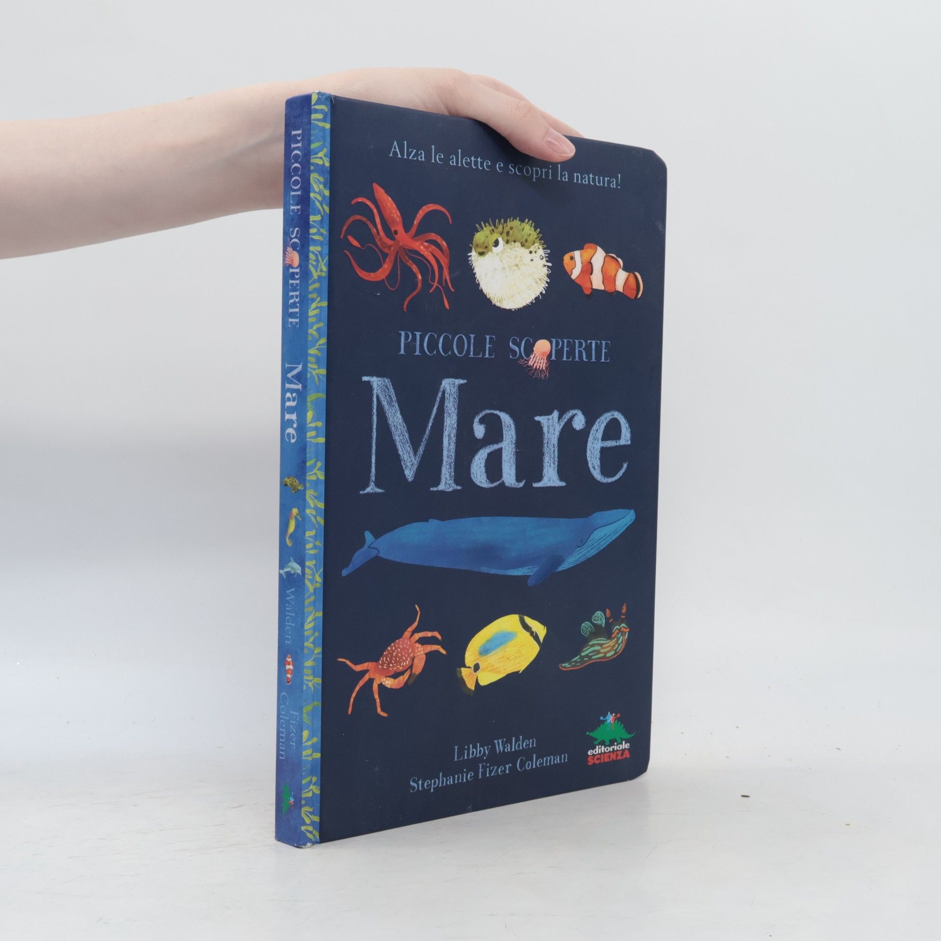 Stephanie Fizer Coleman Piccole Scoperte: Mare