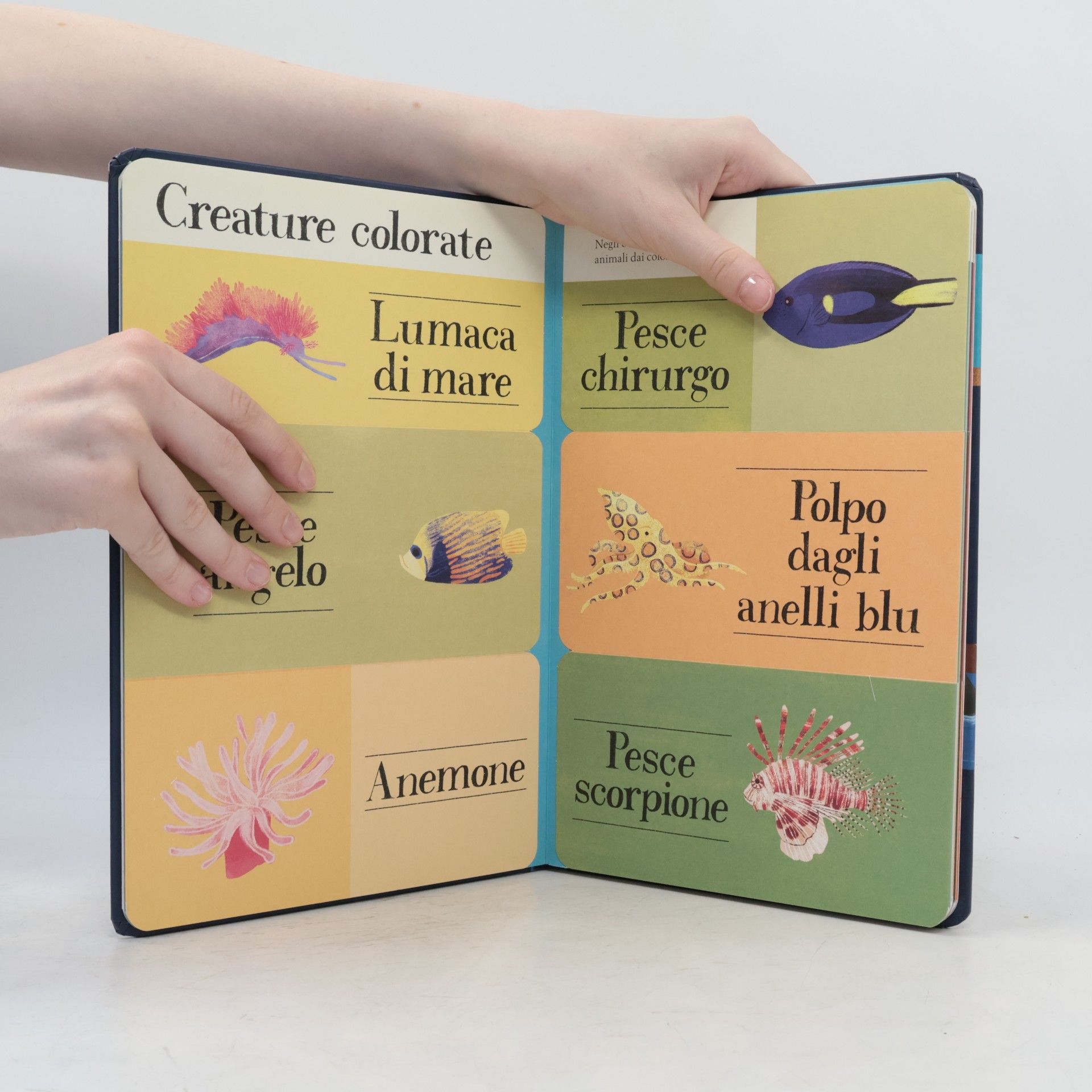 Libby Walden Piccole Scoperte: Mare