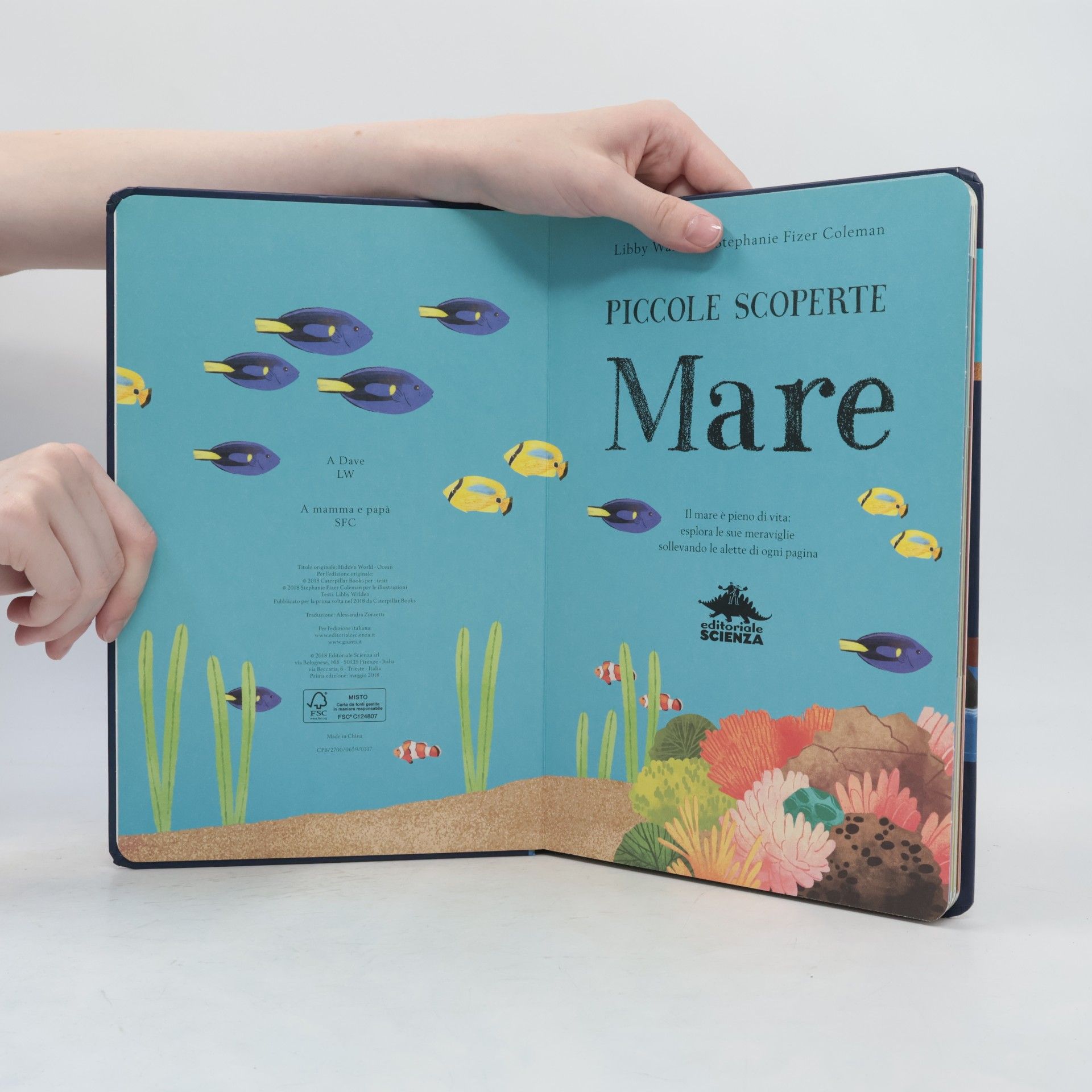 Libby Walden Piccole Scoperte: Mare