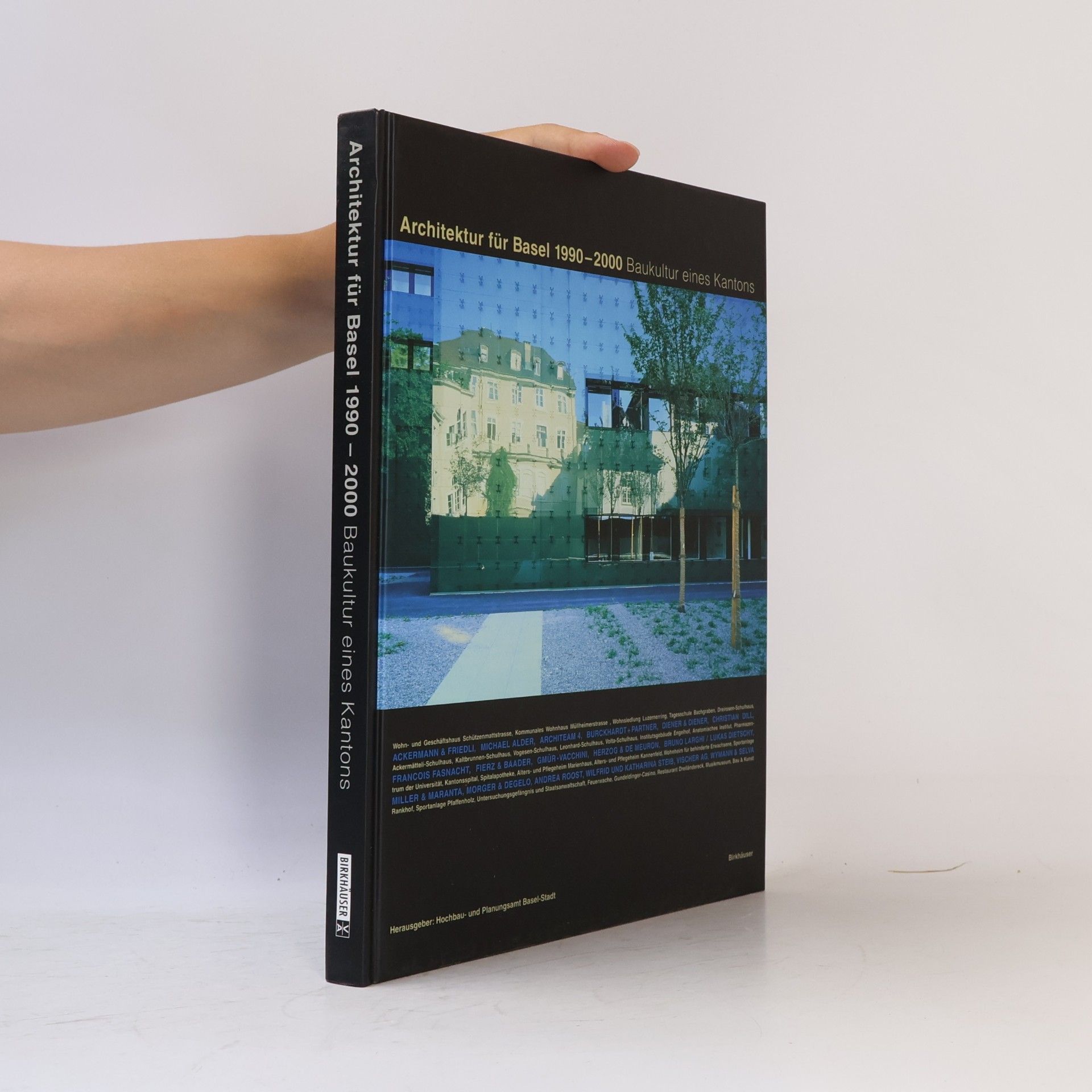 Katharina Steib Architektur für Basel 1990 - 2000