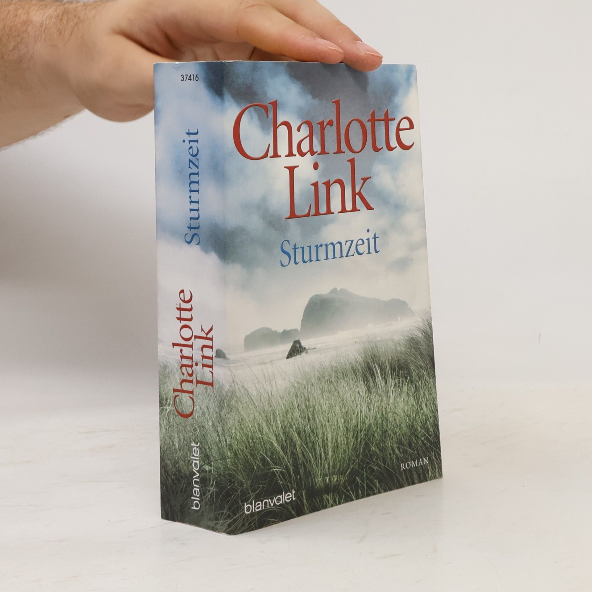 Charlotte Link Sturmzeit
