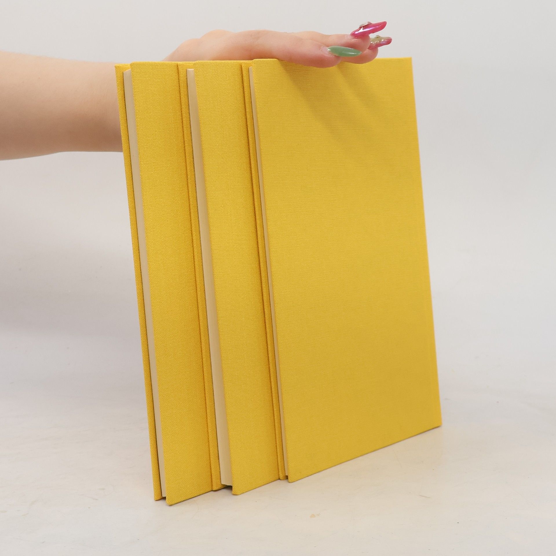 Ibn al-Wašša Das Buch des buntbestickten Kleides