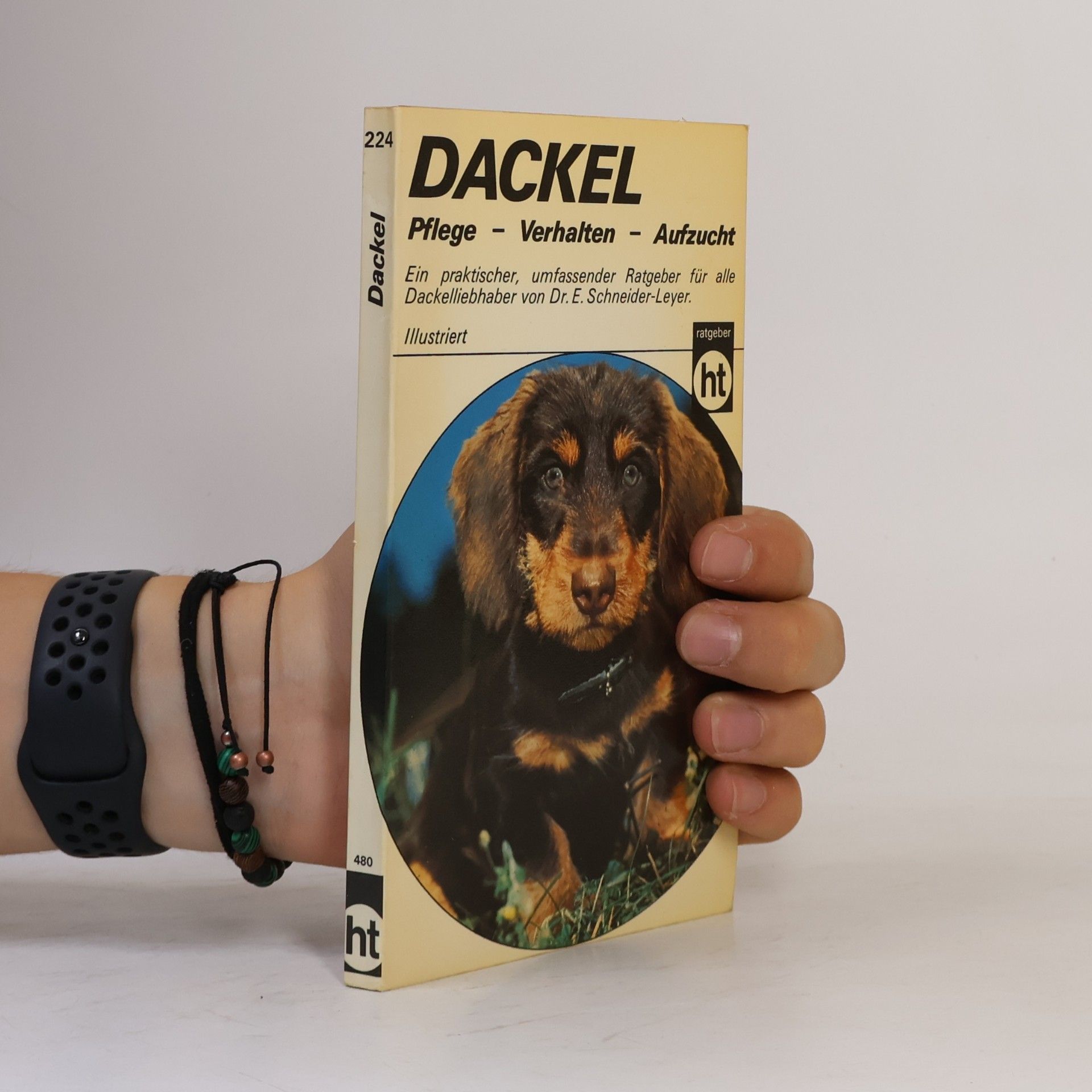 Dackel