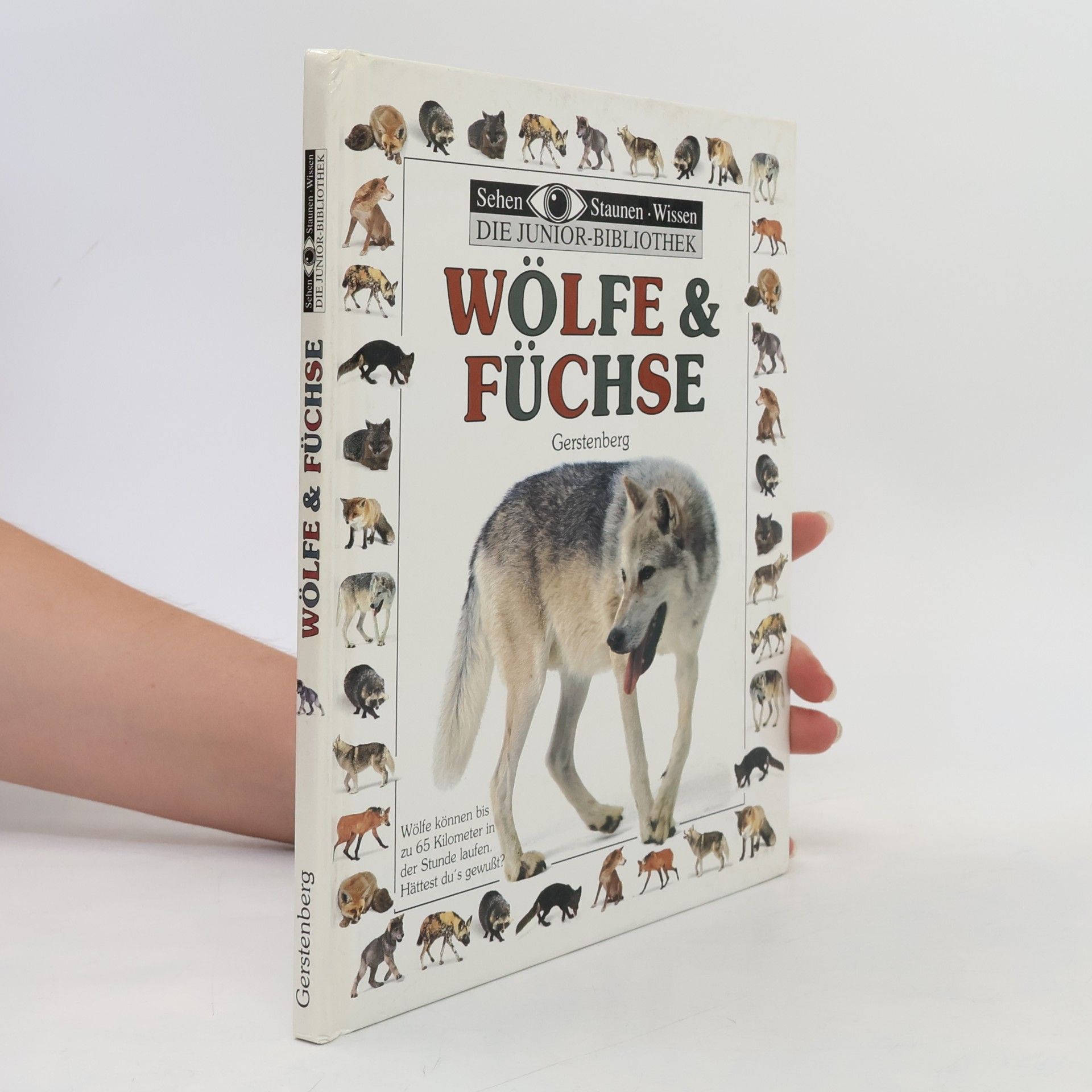 Mary Ling Sehen Staunen Wissen - Die Junior-Bibliothek: Wölfe & Füchse