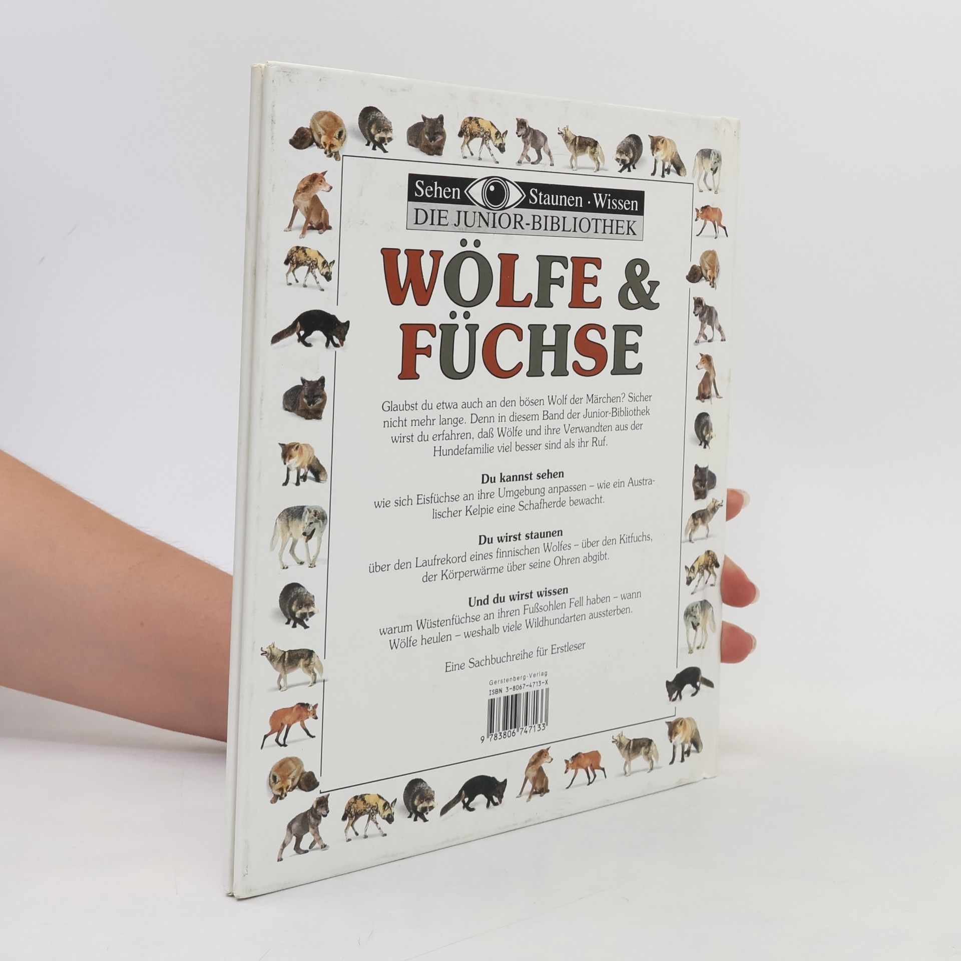Mary Ling Sehen Staunen Wissen - Die Junior-Bibliothek: Wölfe & Füchse