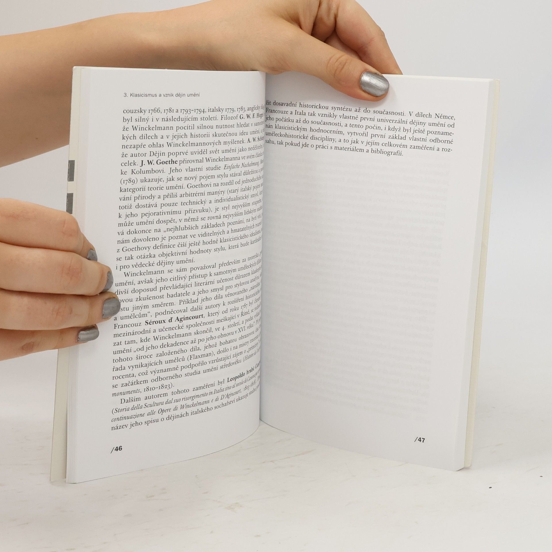 Petr Wittlich Literatura k dějinám umění - vývojový přehled