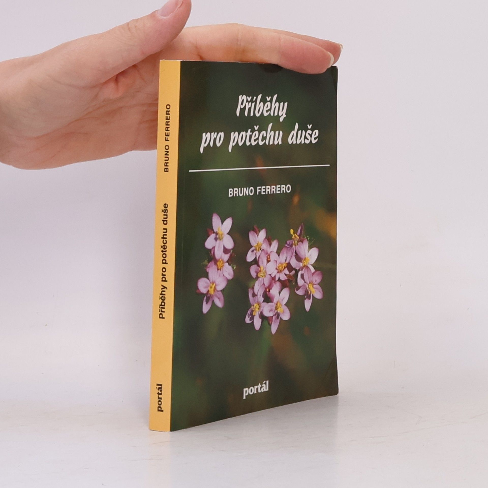 Bruno Ferrero Příběhy pro potěchu duše