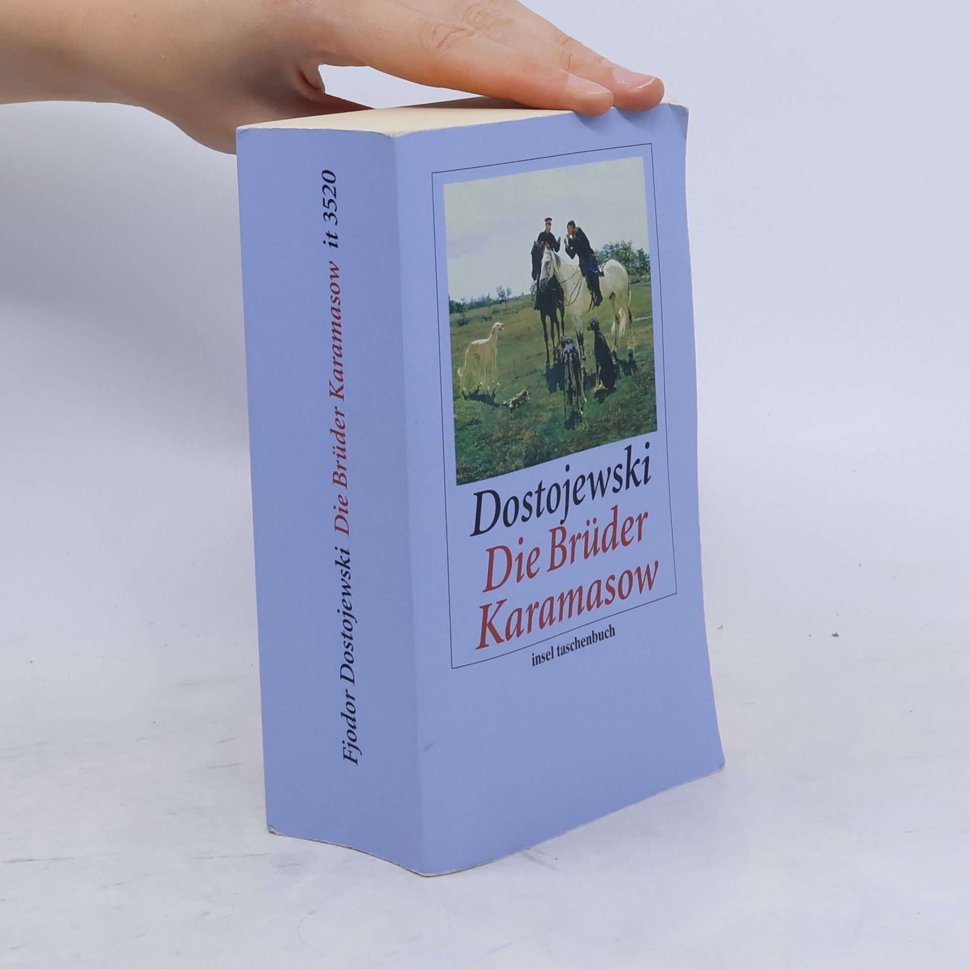 Karl Nötzel Insel Taschenbuch: Die Brüder Karamasow