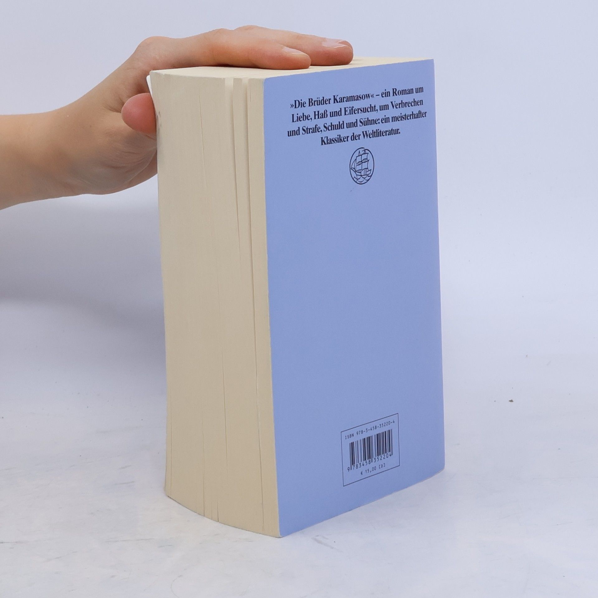 Fjodor Michailowitsch Dostojewski Insel Taschenbuch: Die Brüder Karamasow