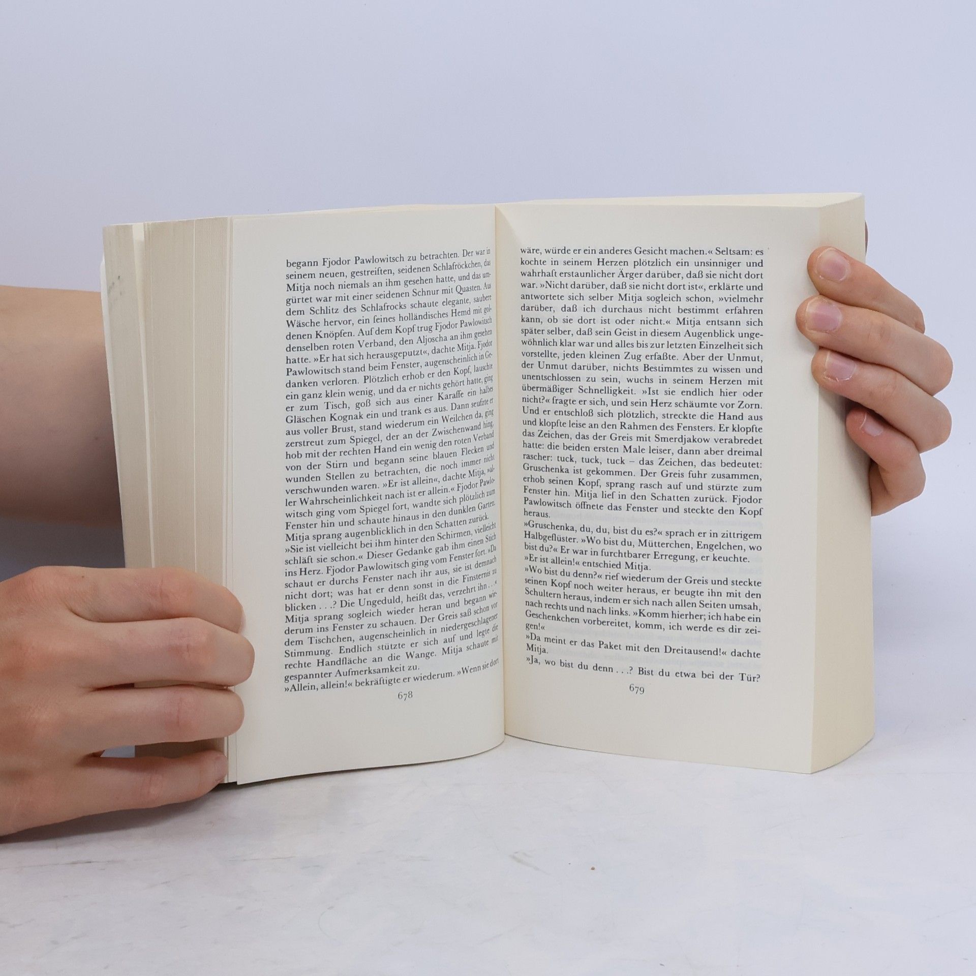 Fjodor Michailowitsch Dostojewski Insel Taschenbuch: Die Brüder Karamasow