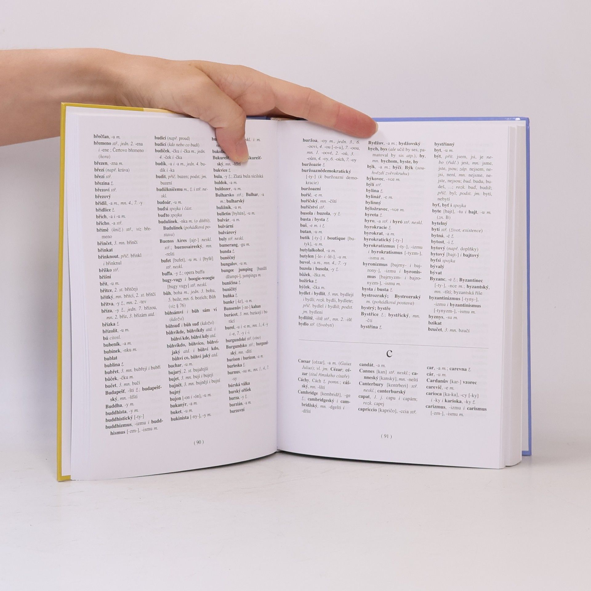 Various authors Pravidla českého pravopisu