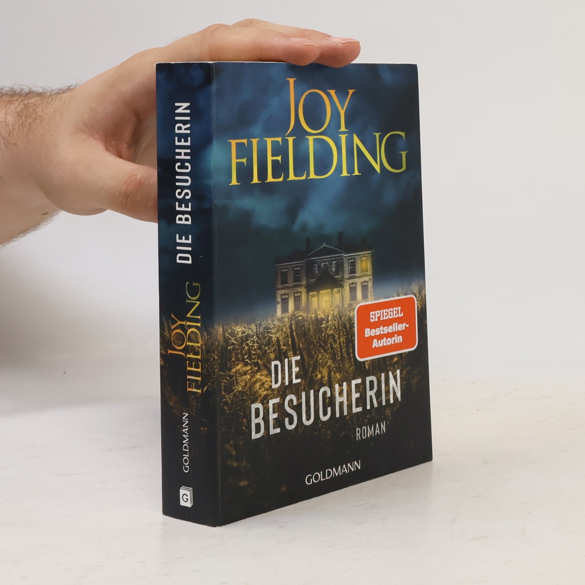 Joy Fielding Die Besucherin