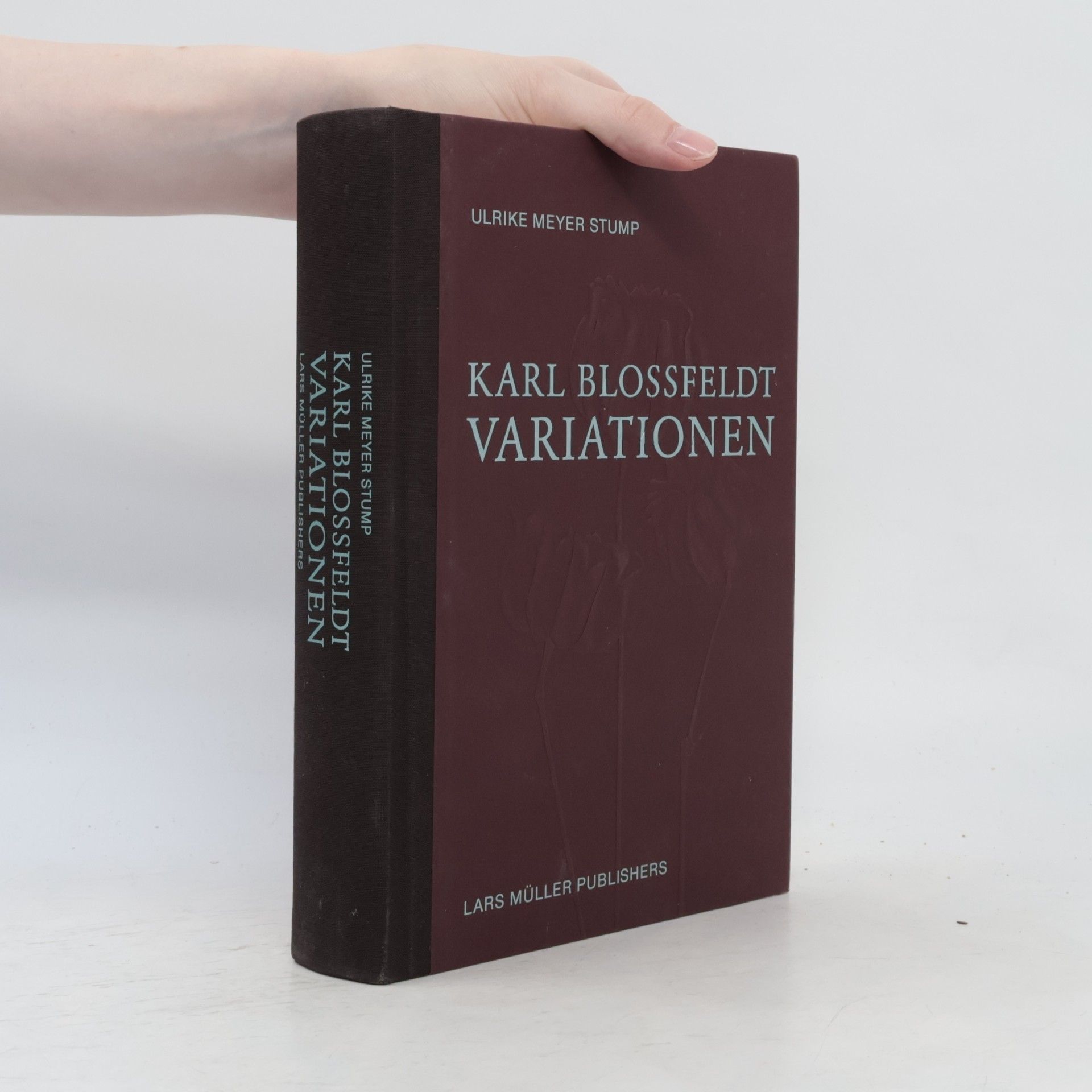 Ulrike Meyer Stump Karl Blossfeldt: Variationen