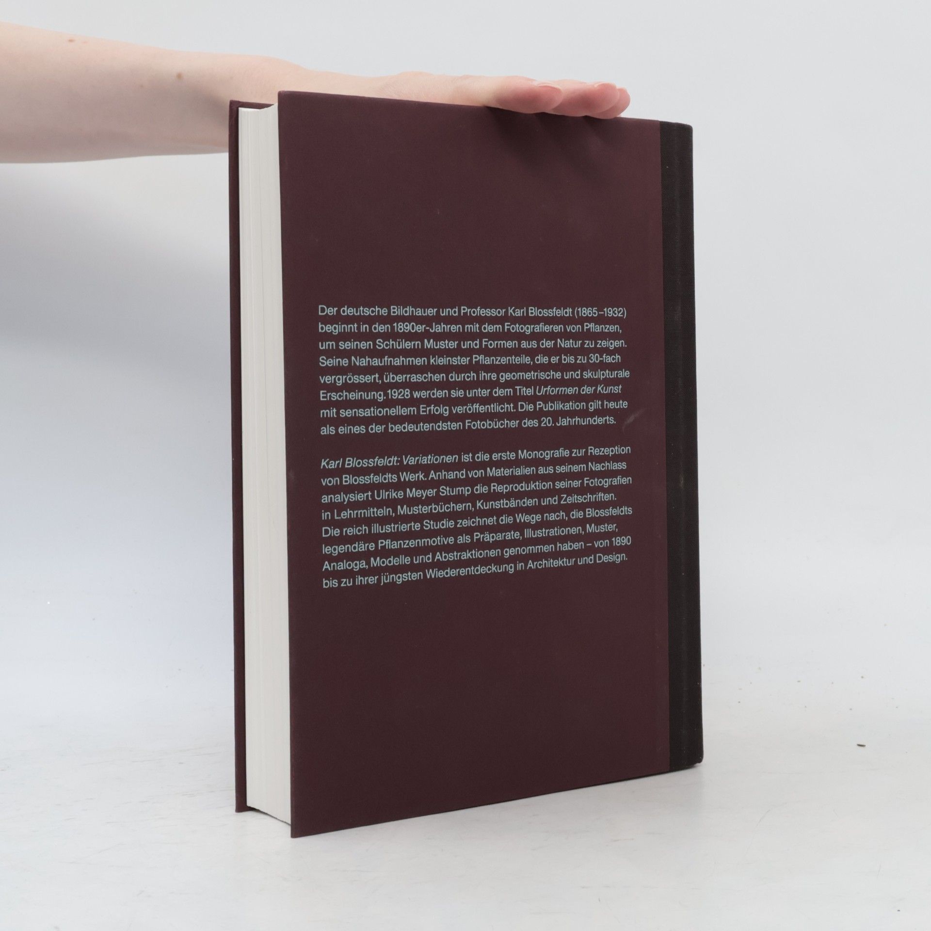 Ulrike Meyer Stump Karl Blossfeldt: Variationen