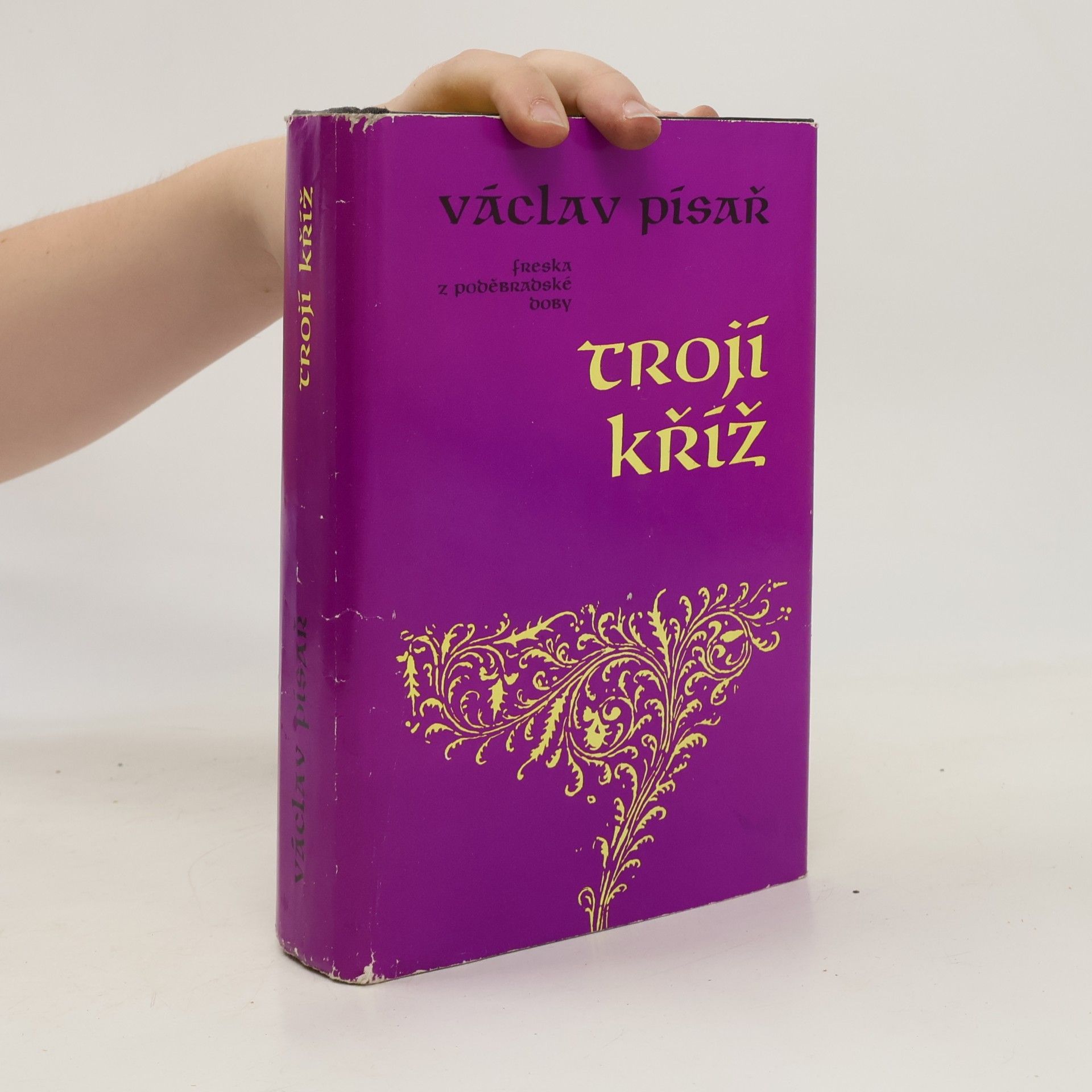 Václav Písař Trojí kříž