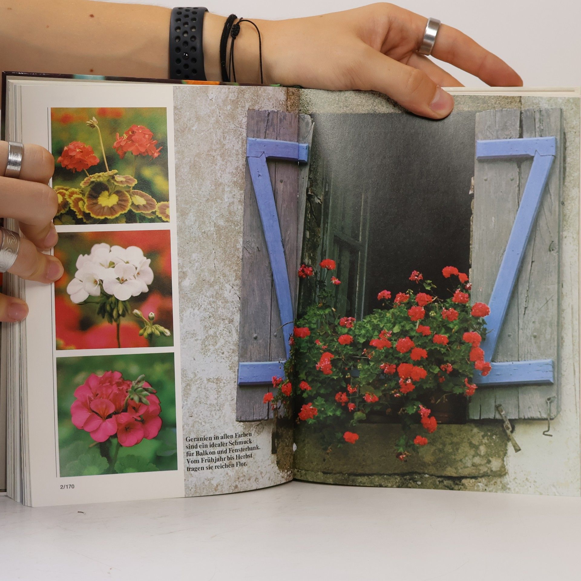 AA.VV. Blumen und Garten. Das praktische Pflanzen ABC 2