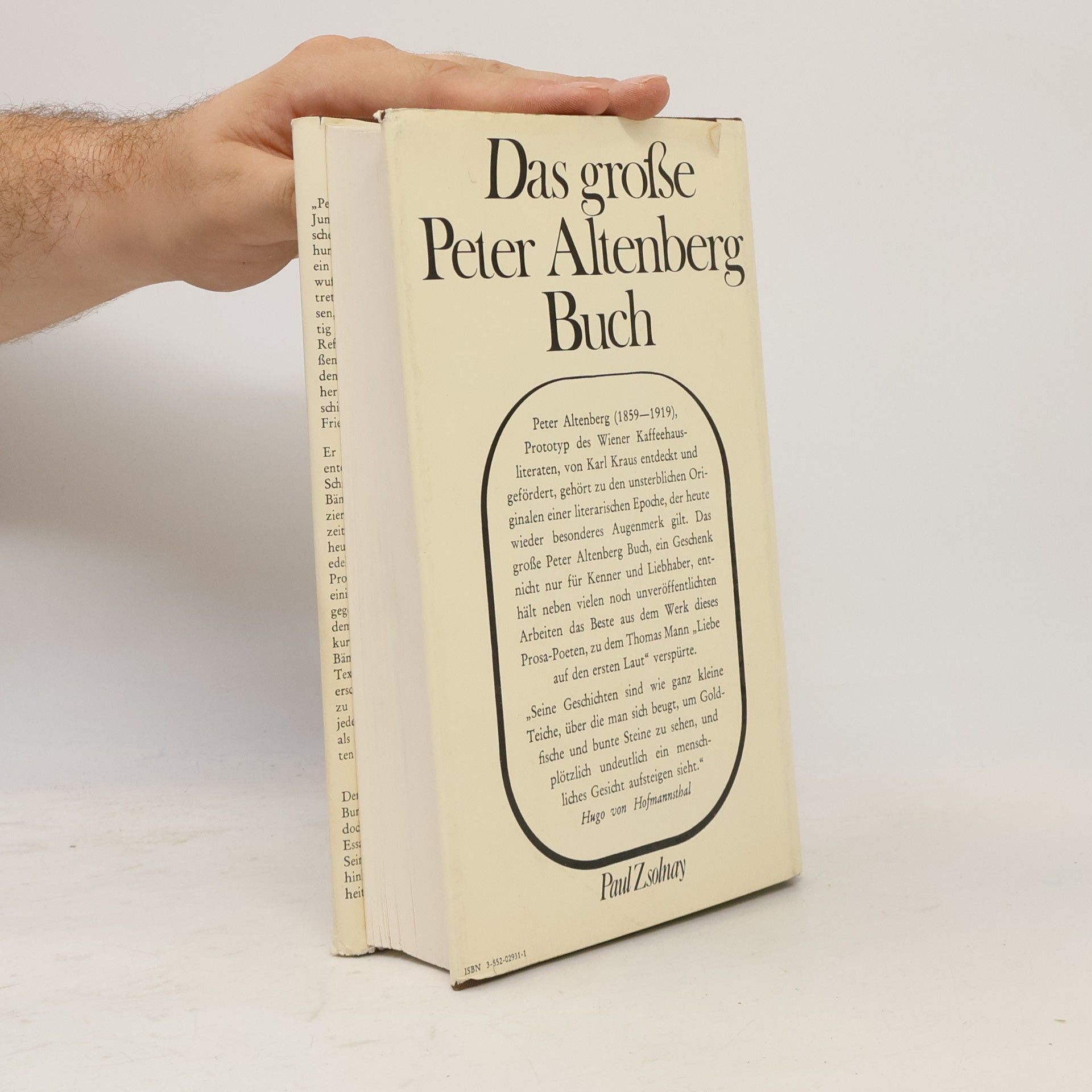 Peter Altenberg Das große Peter Altenberg Buch