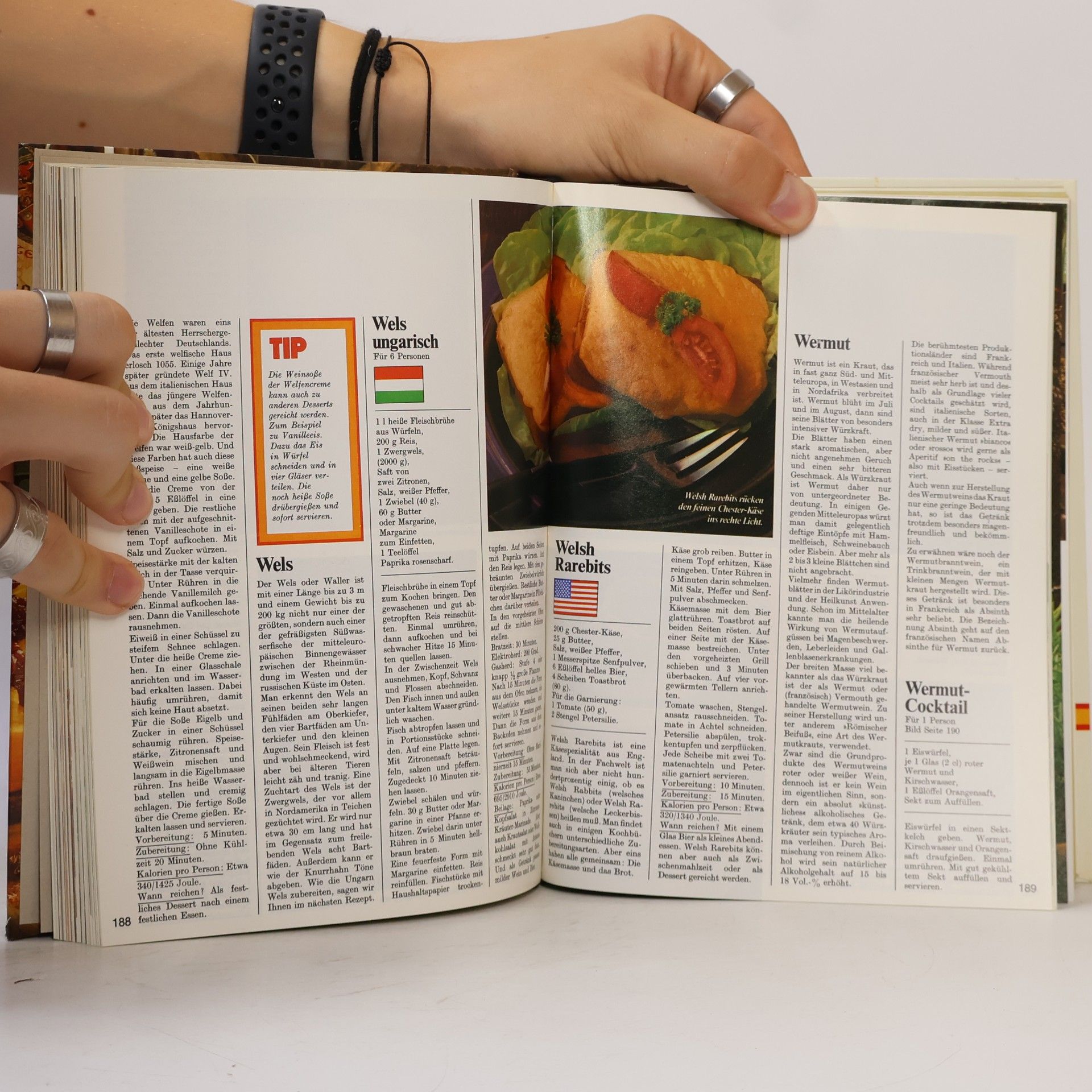 Kolektív autorov Menu 10. Das große moderne Kochlexikon