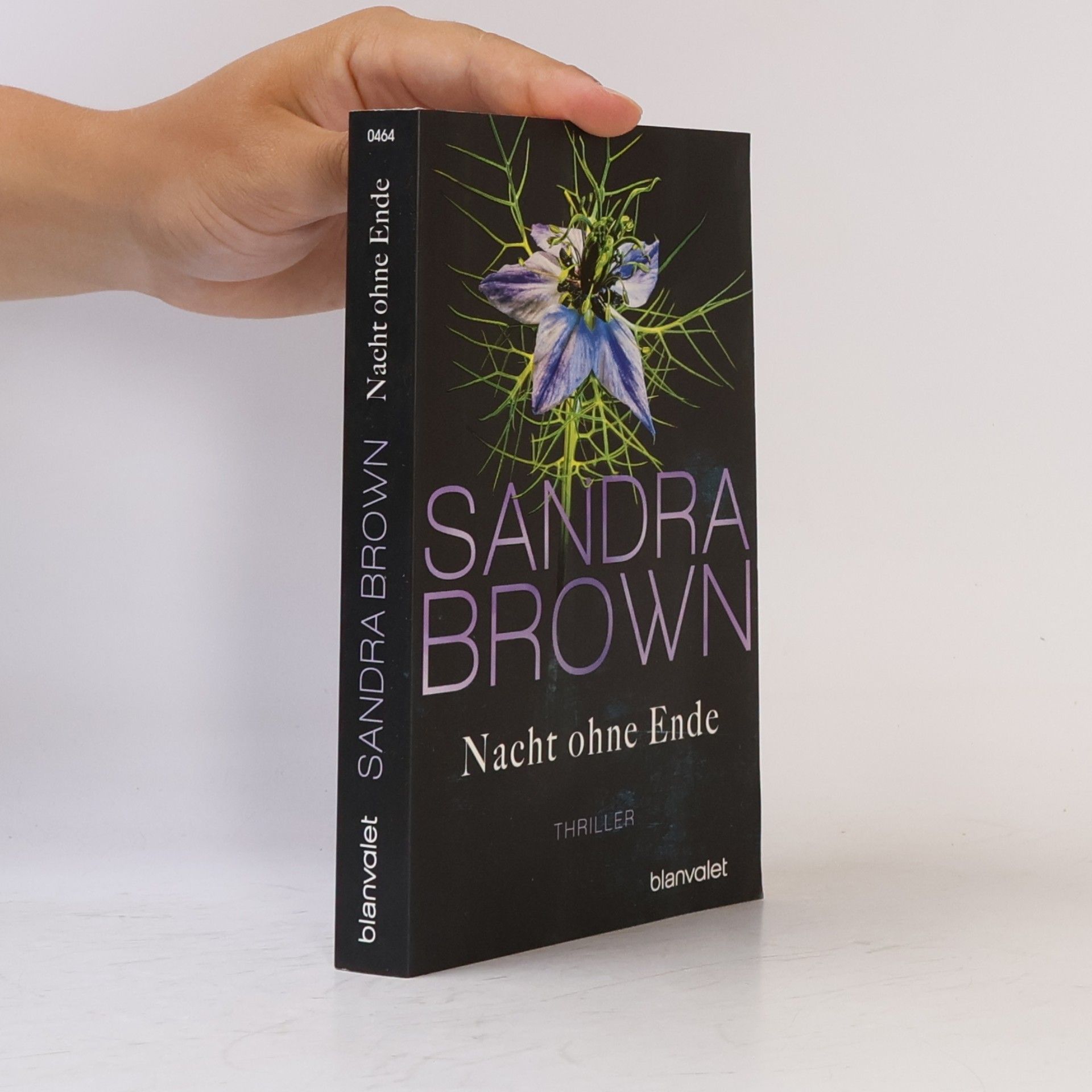 Sandra Brown Nacht ohne Ende