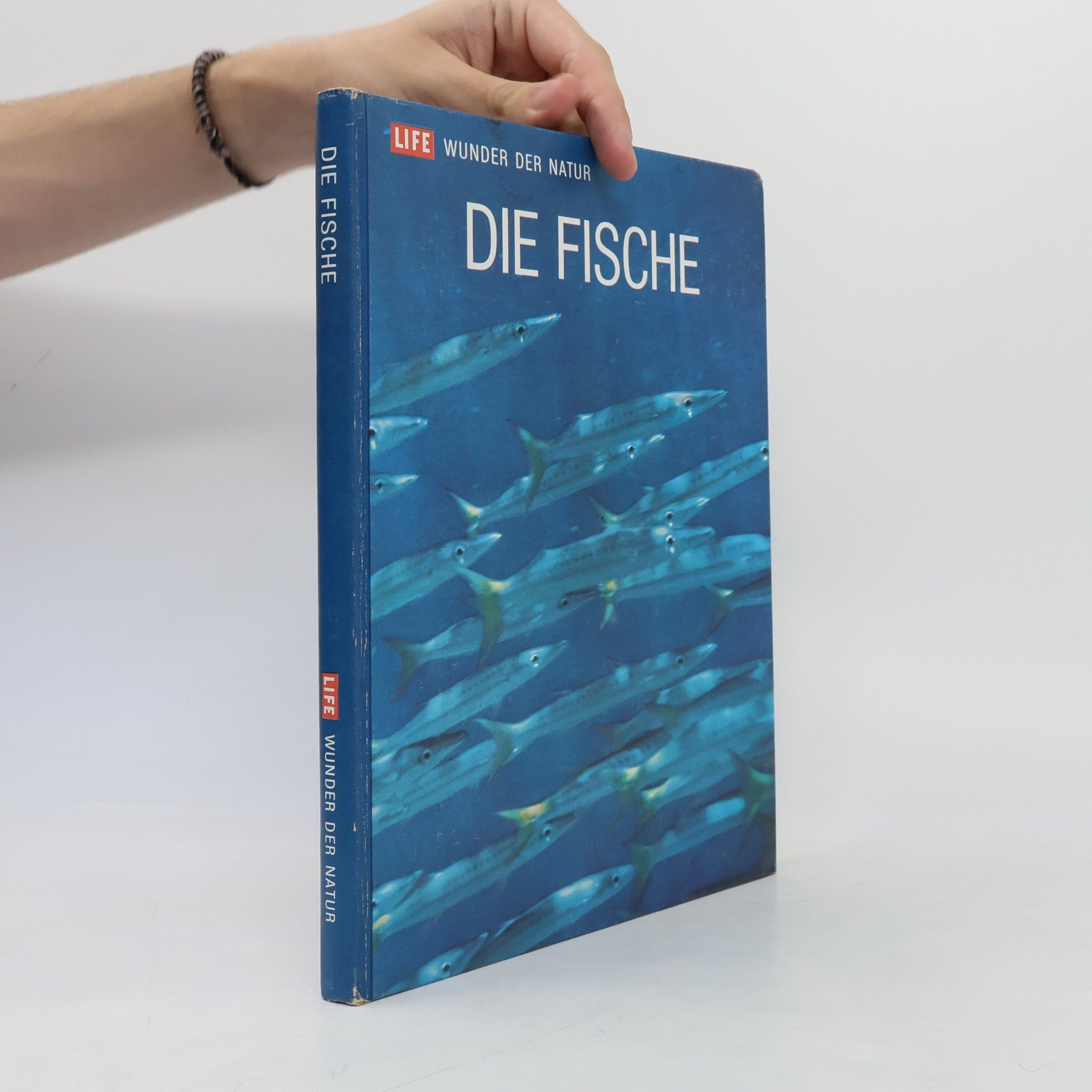 Kolektív autorov Die Fische