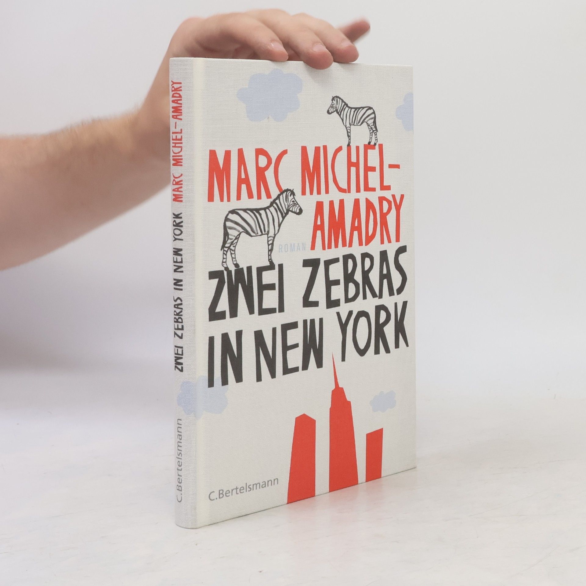 Marc Michel-Amadry Zwei Zebras in New York