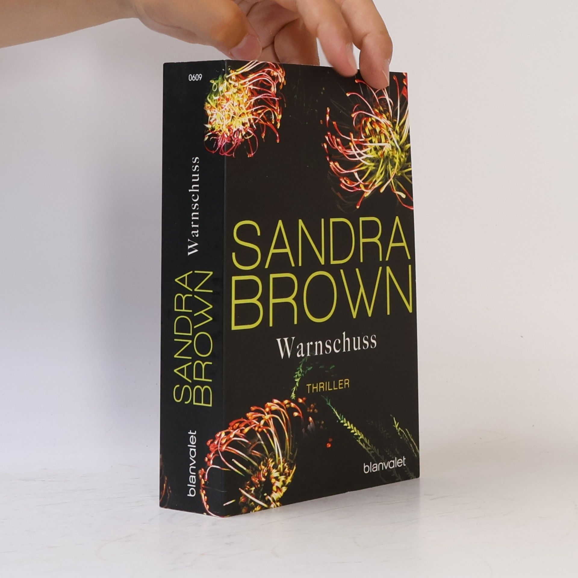 Sandra Brown Warnschuss