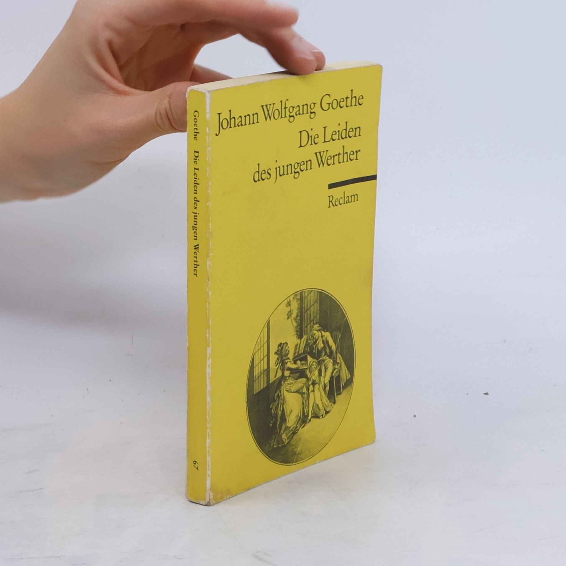 Johann Wolfgang von Goethe Die Leiden des jungen Werther