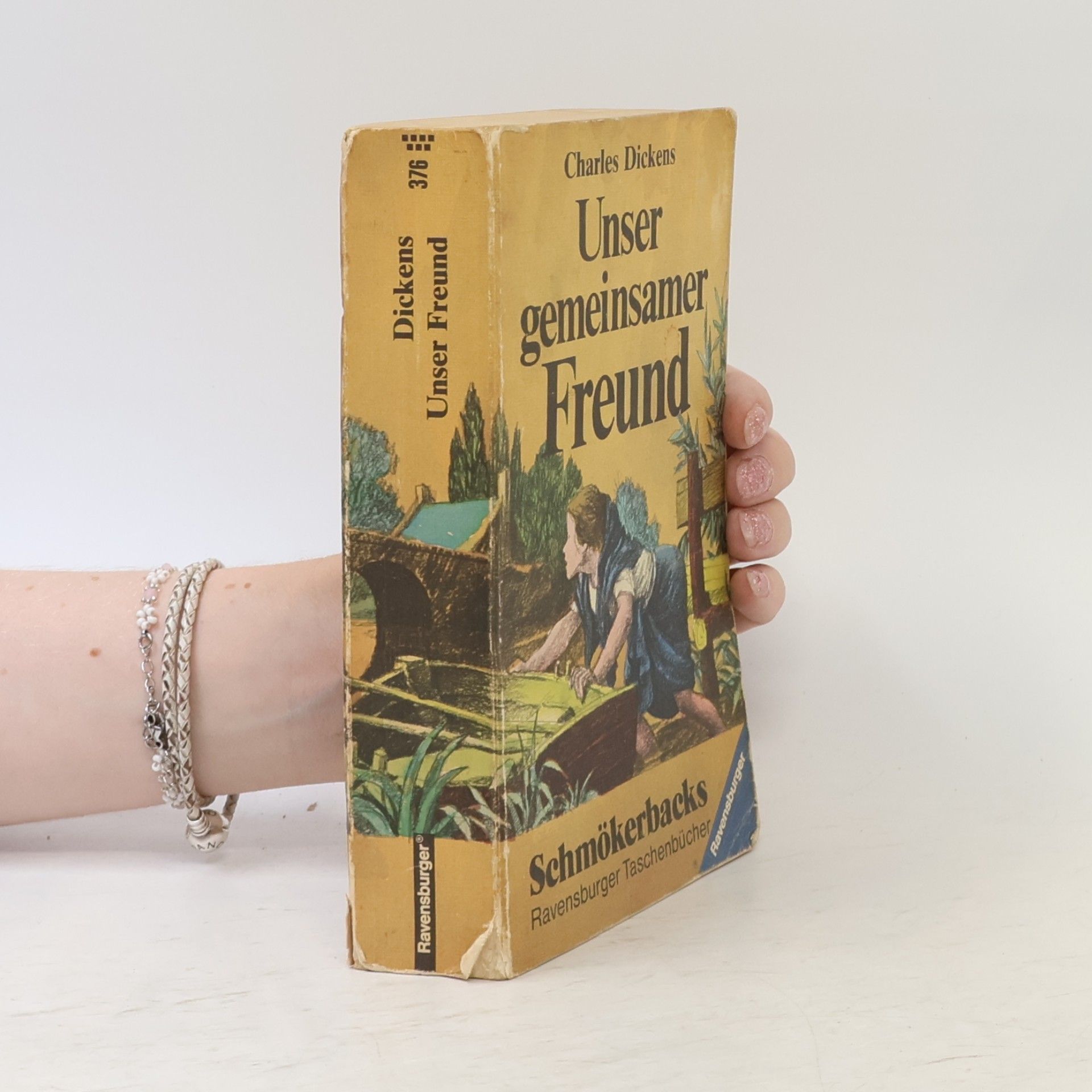 Charles Dickens Schmökerbacks: Unser gemeinsamer Freund