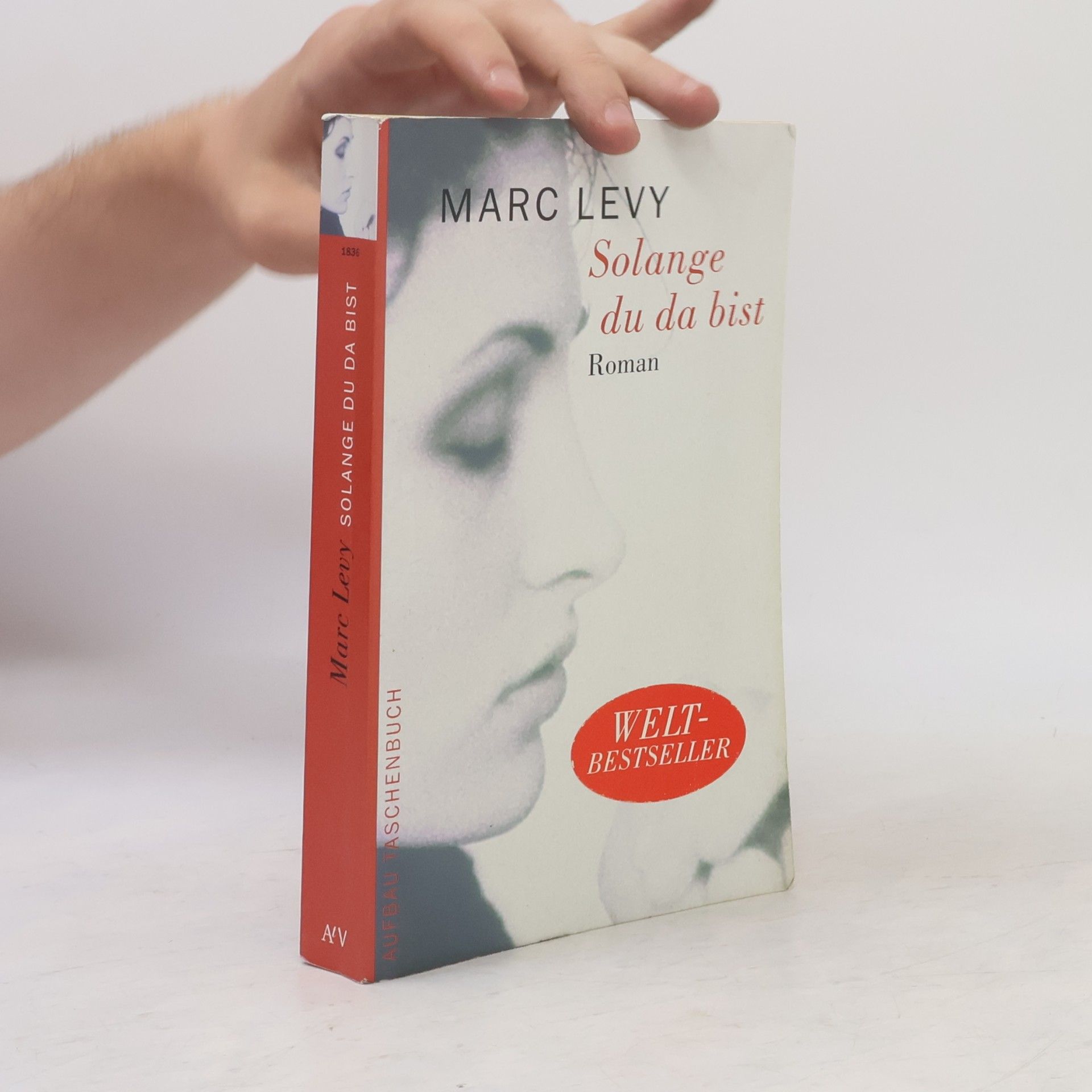 Marc Levy Solange du da bist