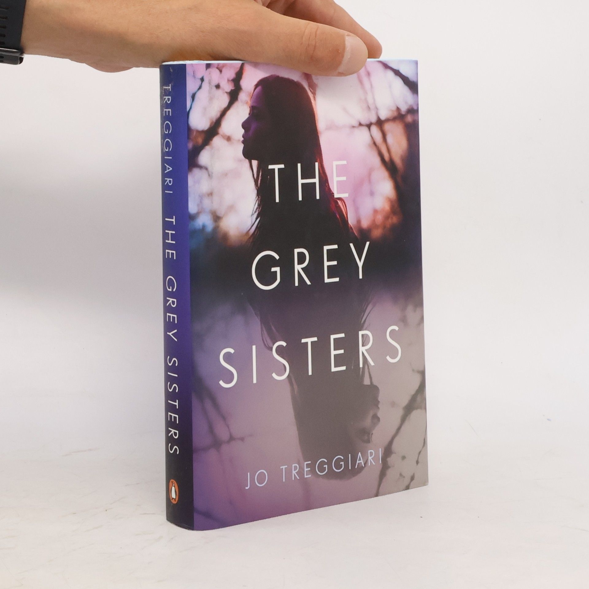 Jo Treggiari The Grey Sisters