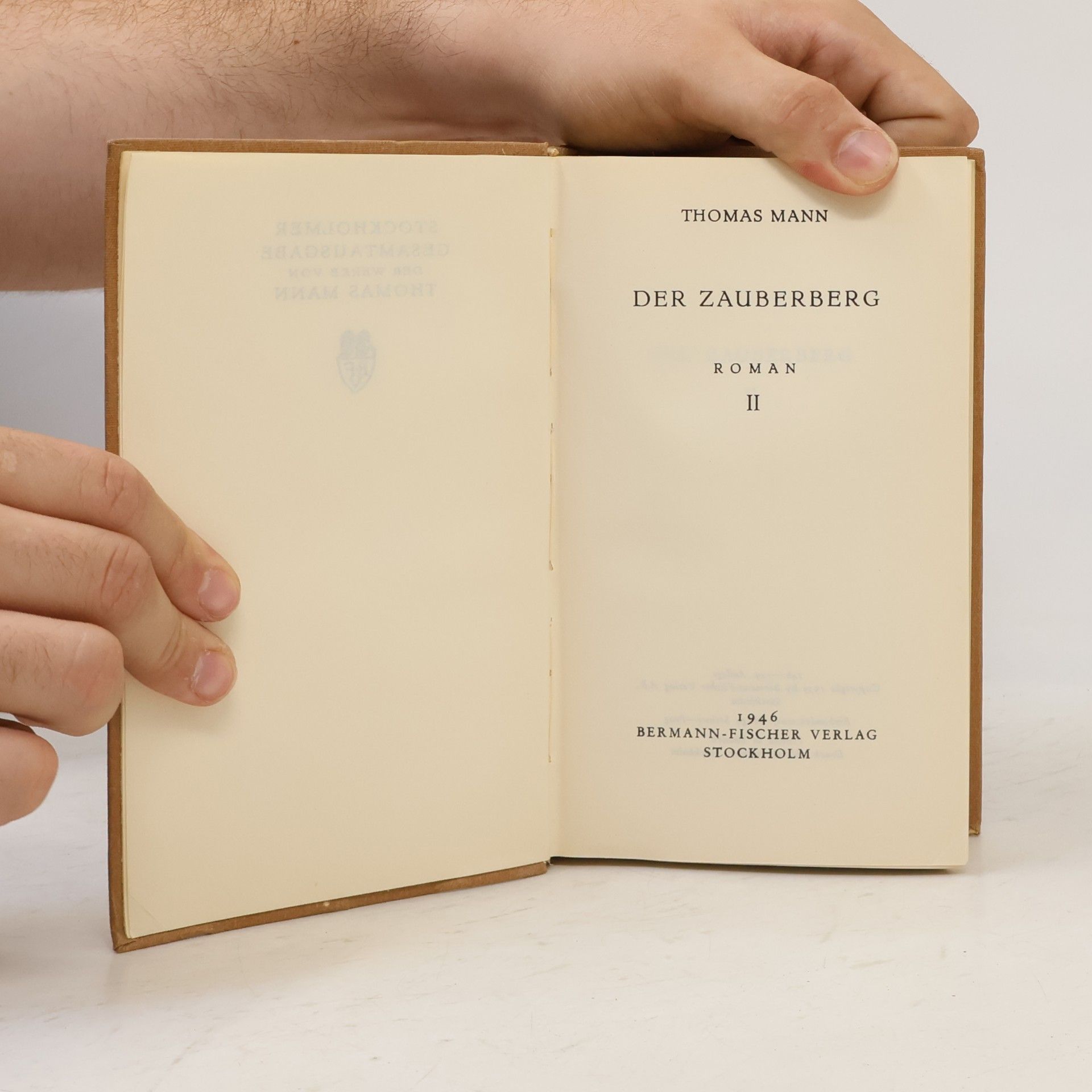 Thomas Mann Der Zauberg 2