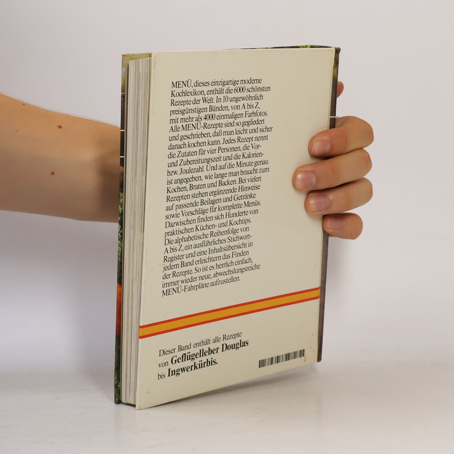 Kolektiv autorů Menu 4. Das Große Moderne Kochlexikon