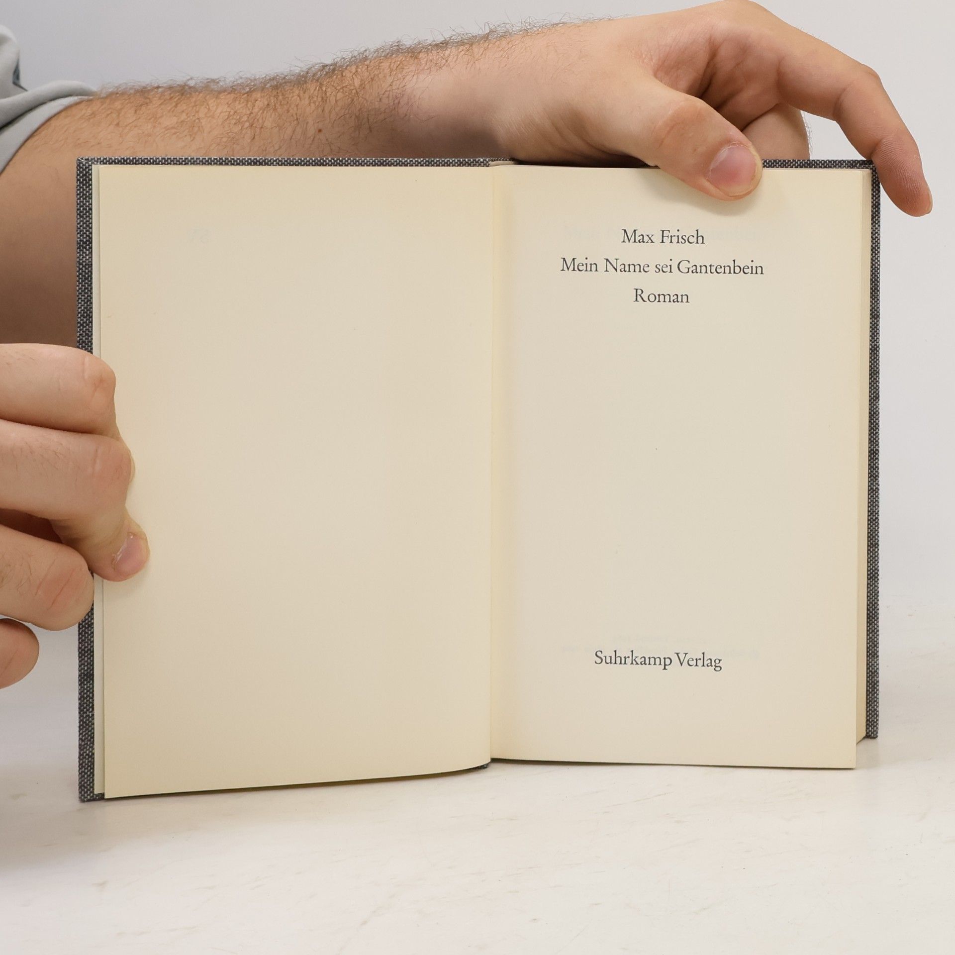 Max Frisch Mein Name sei Gantenbein