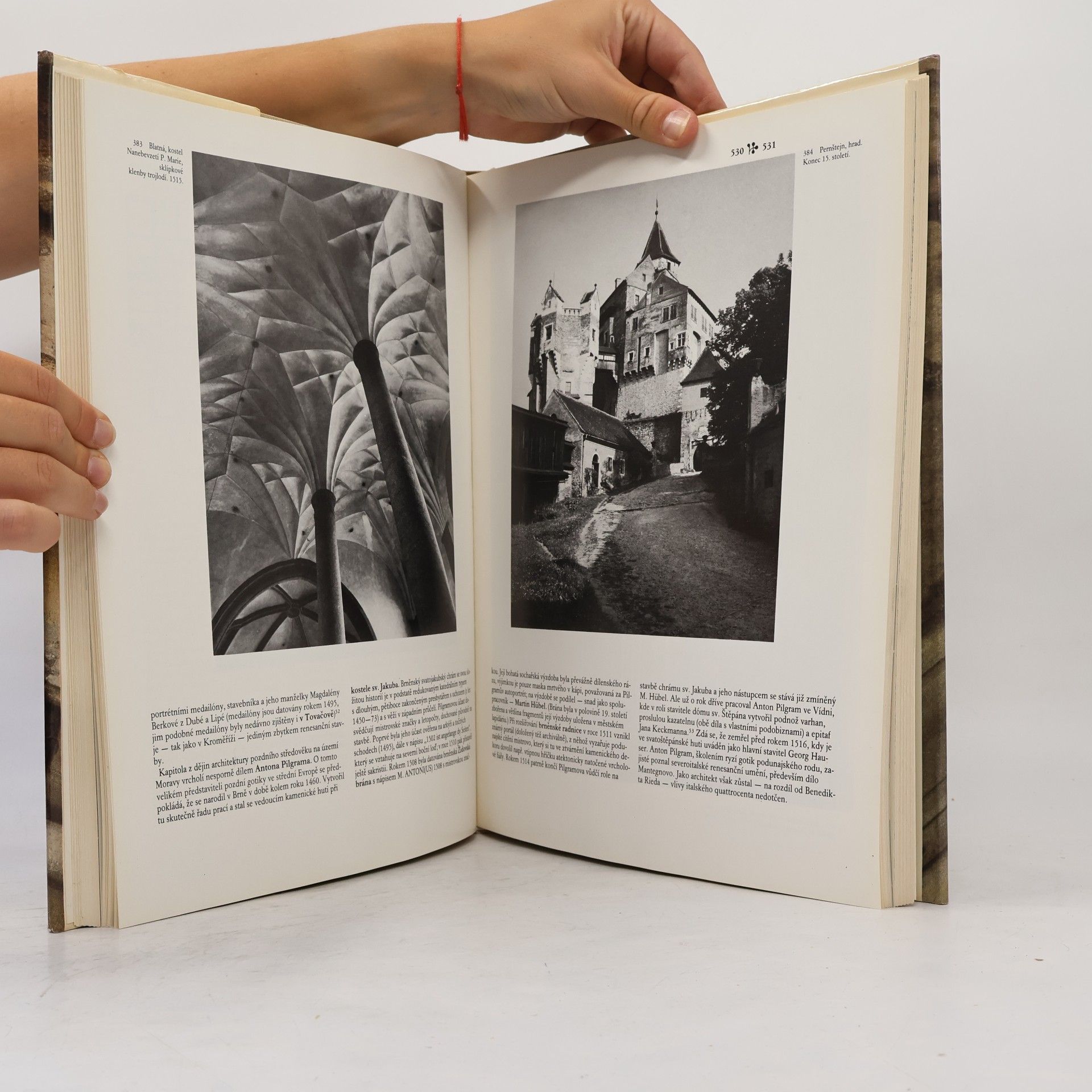 Various authors Dějiny českého výtvarného umění od počátku do konce středověku I/2