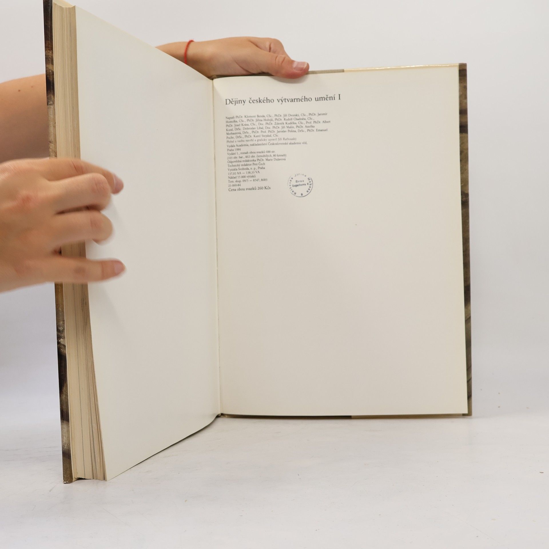Various authors Dějiny českého výtvarného umění od počátku do konce středověku I/2