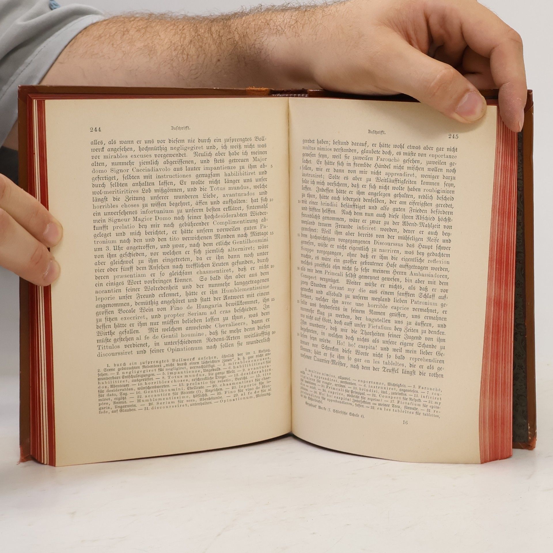 Andreas Gryphius Deutsche National-Litteratur 29. Die erste schlesische Schule III. Gryphius' Werke