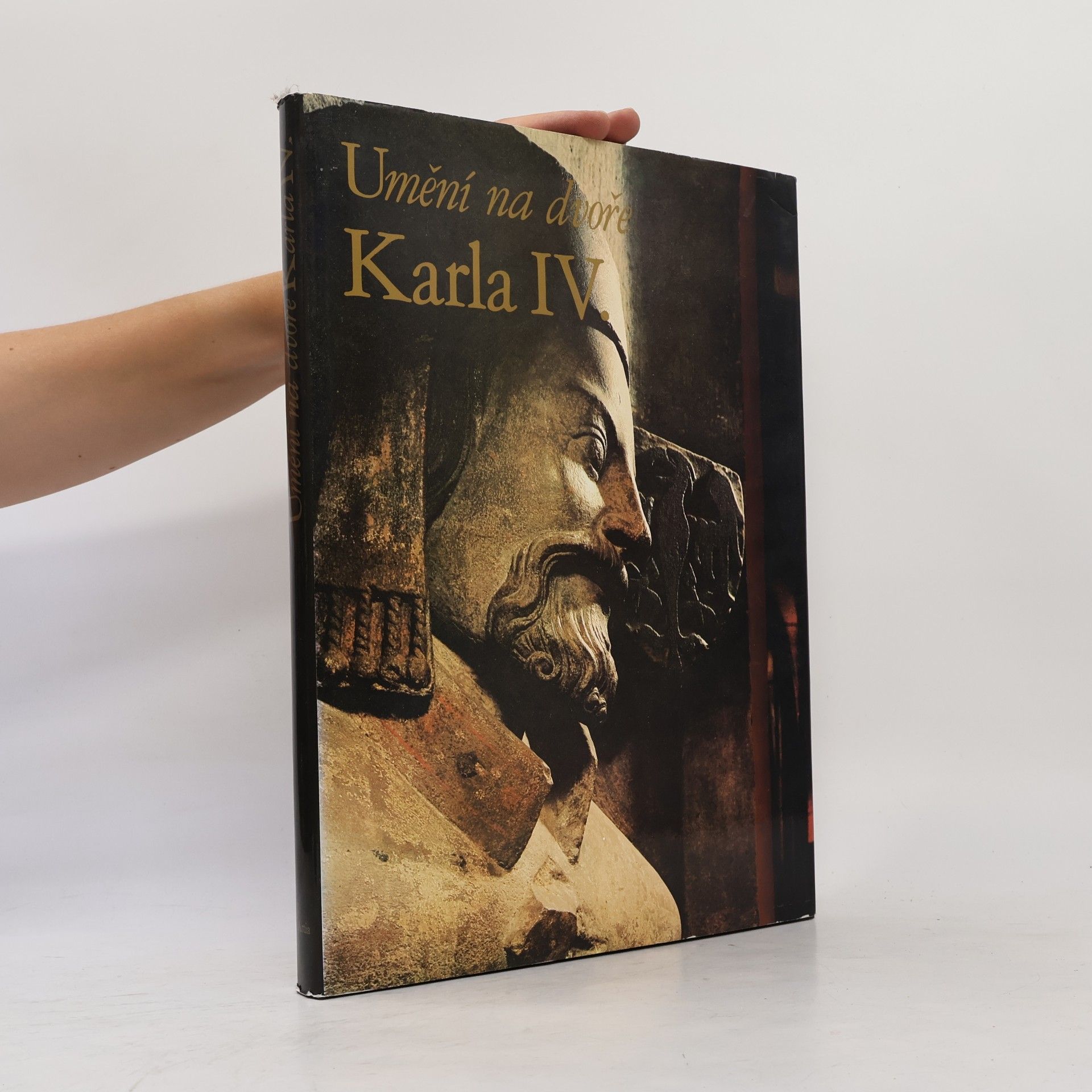 Karel Stejskal Umění na dvoře Karla IV.