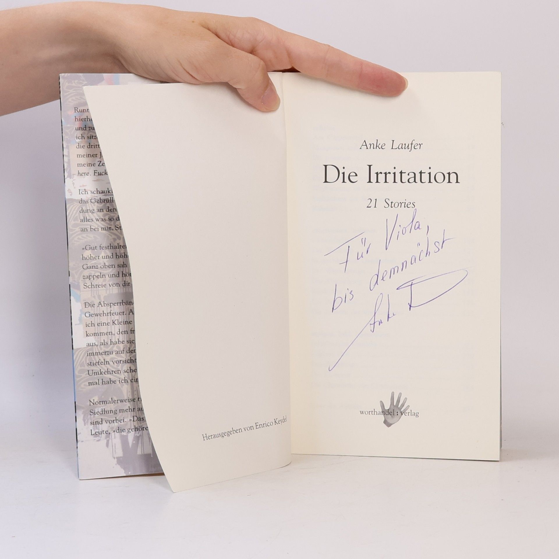 Anke Laufer Die Irritation