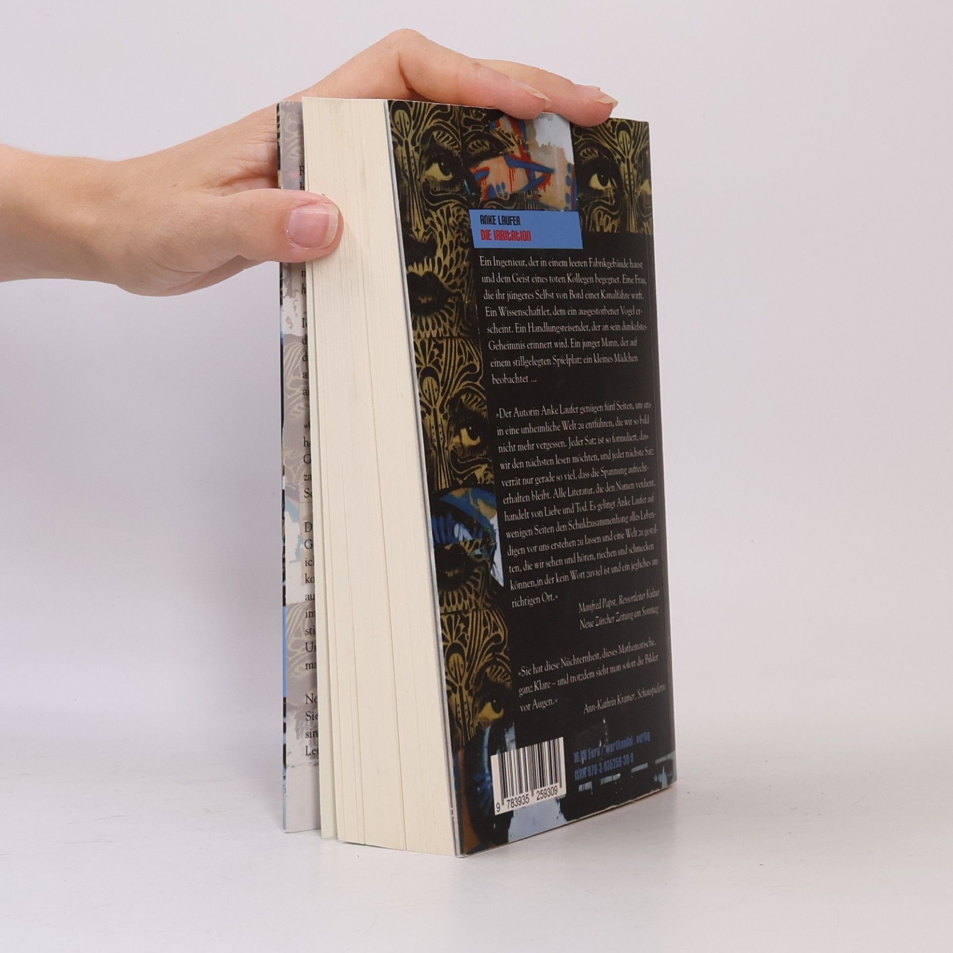 Anke Laufer Die Irritation