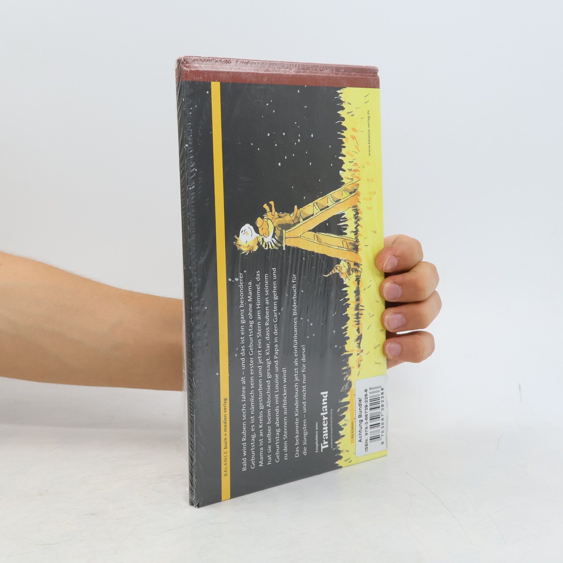 Karen-Susan Fessel Ein Stern namens Mama - Paket: Bilderbuch und Kinderbuch
