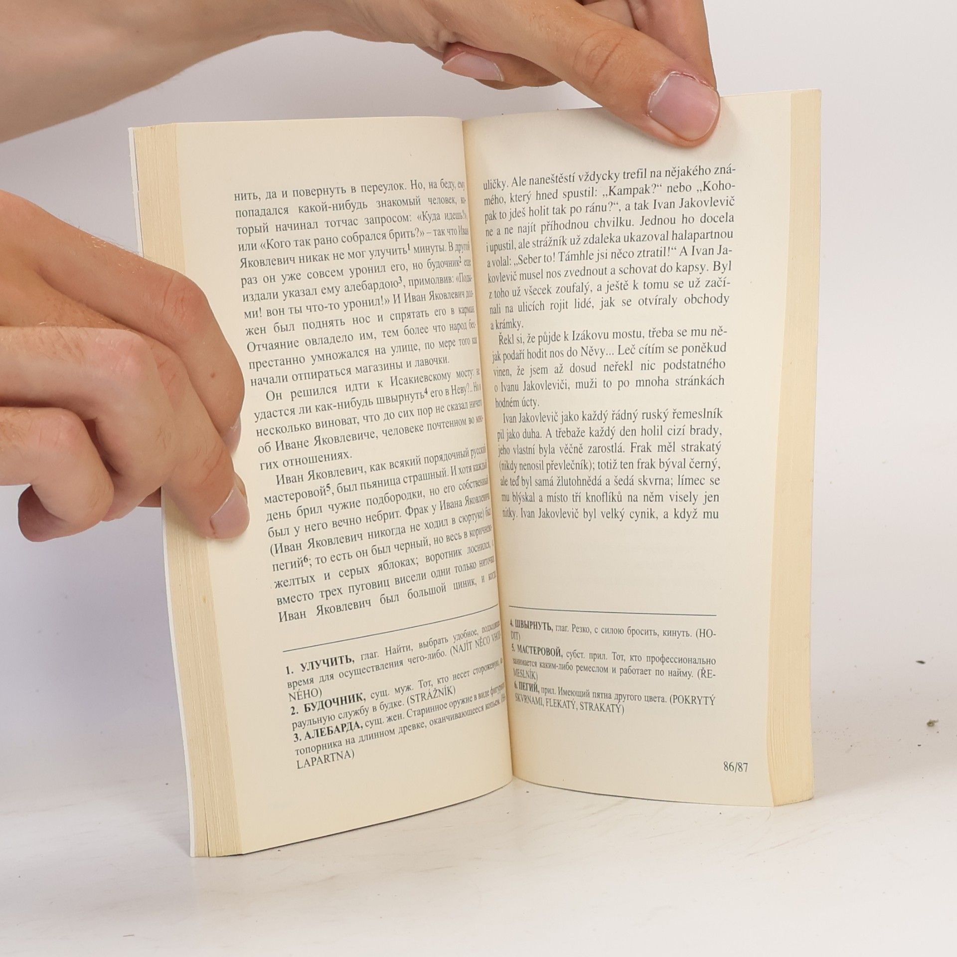 Nikolai Gogol Bláznovy zápisky. Zapiski sumasšedšego