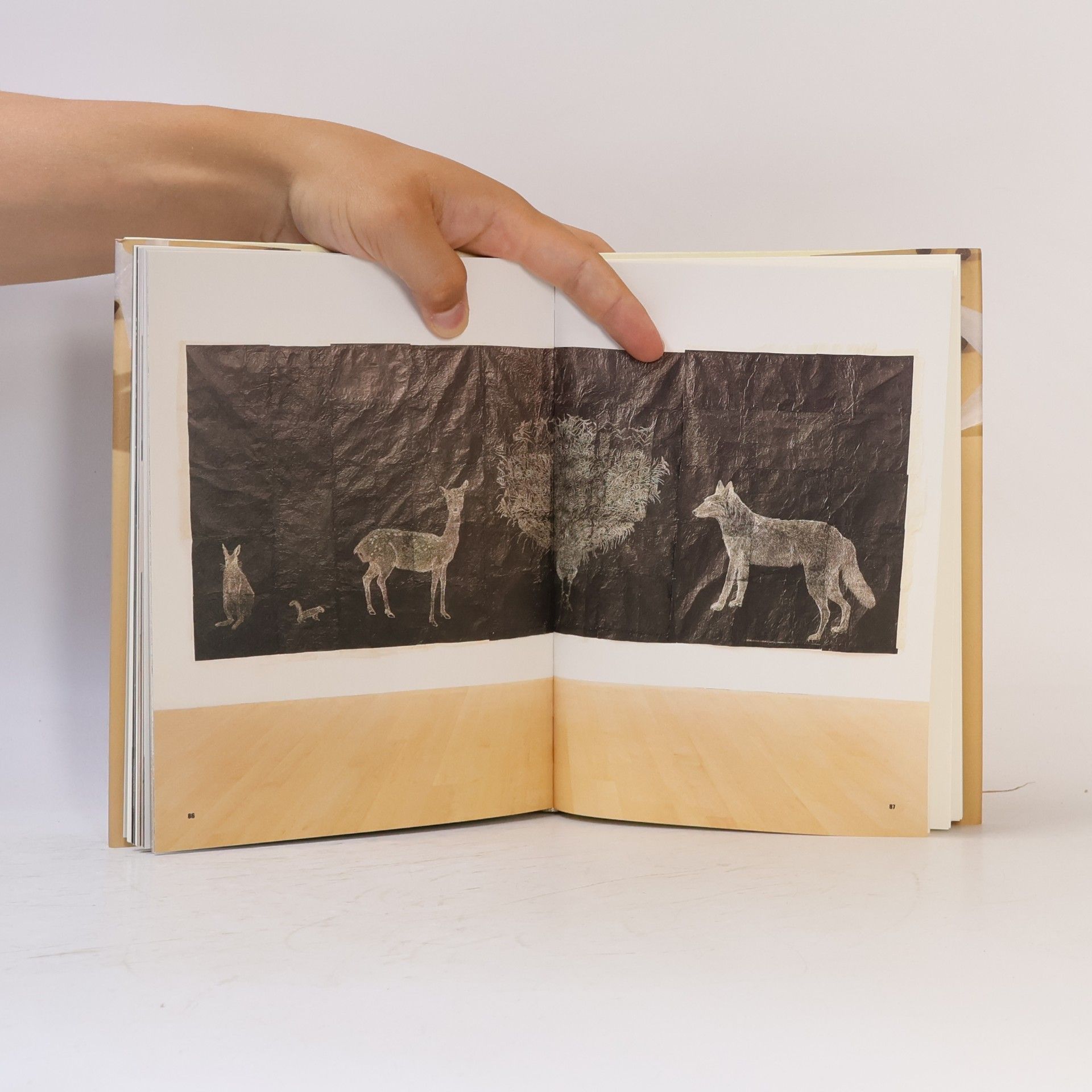 Carsten Ahrens Kiki Smith, all creatures great and small