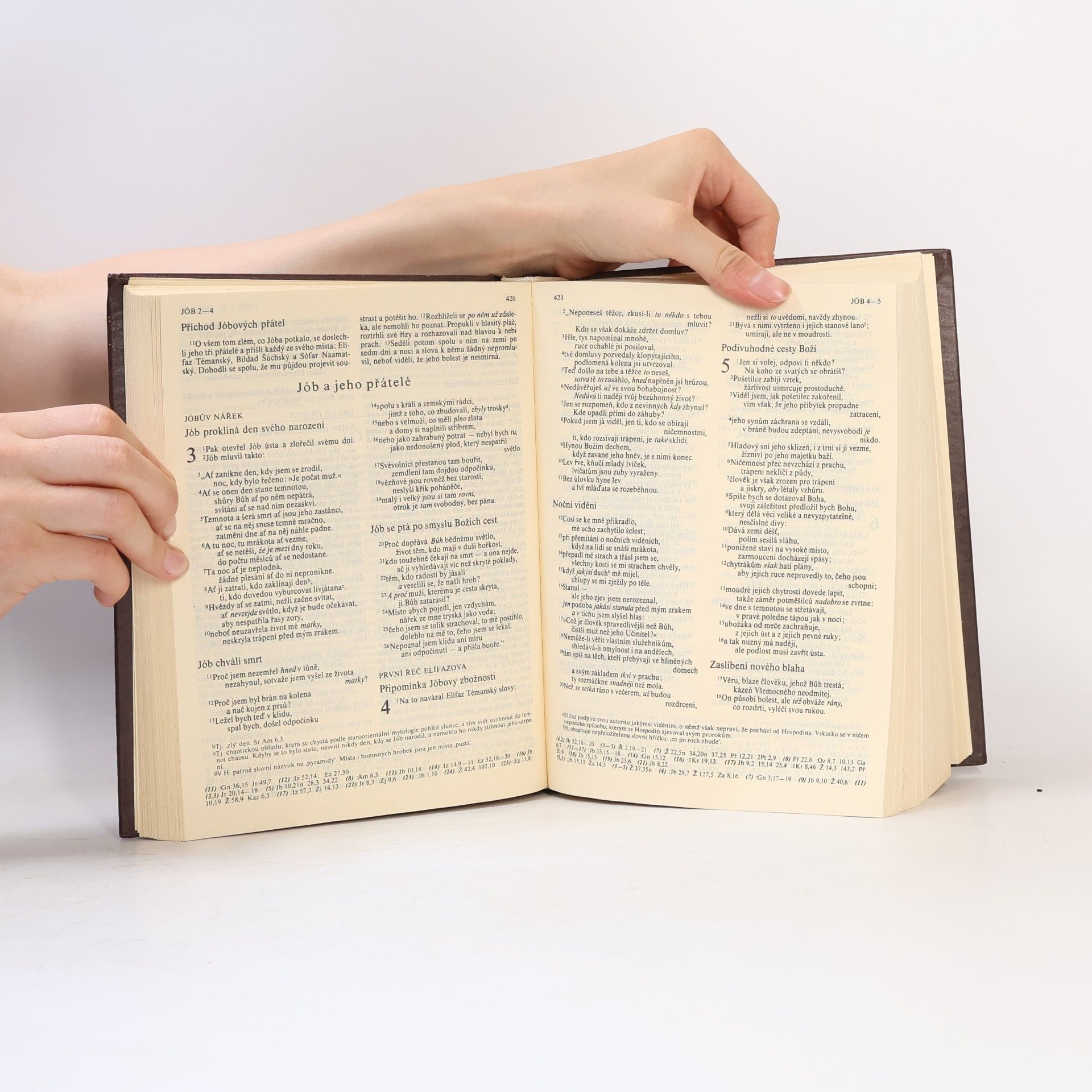 Autorenkollektiv Bible. Písmo svaté Starého a Nového Zákona. Ekumenický překlad