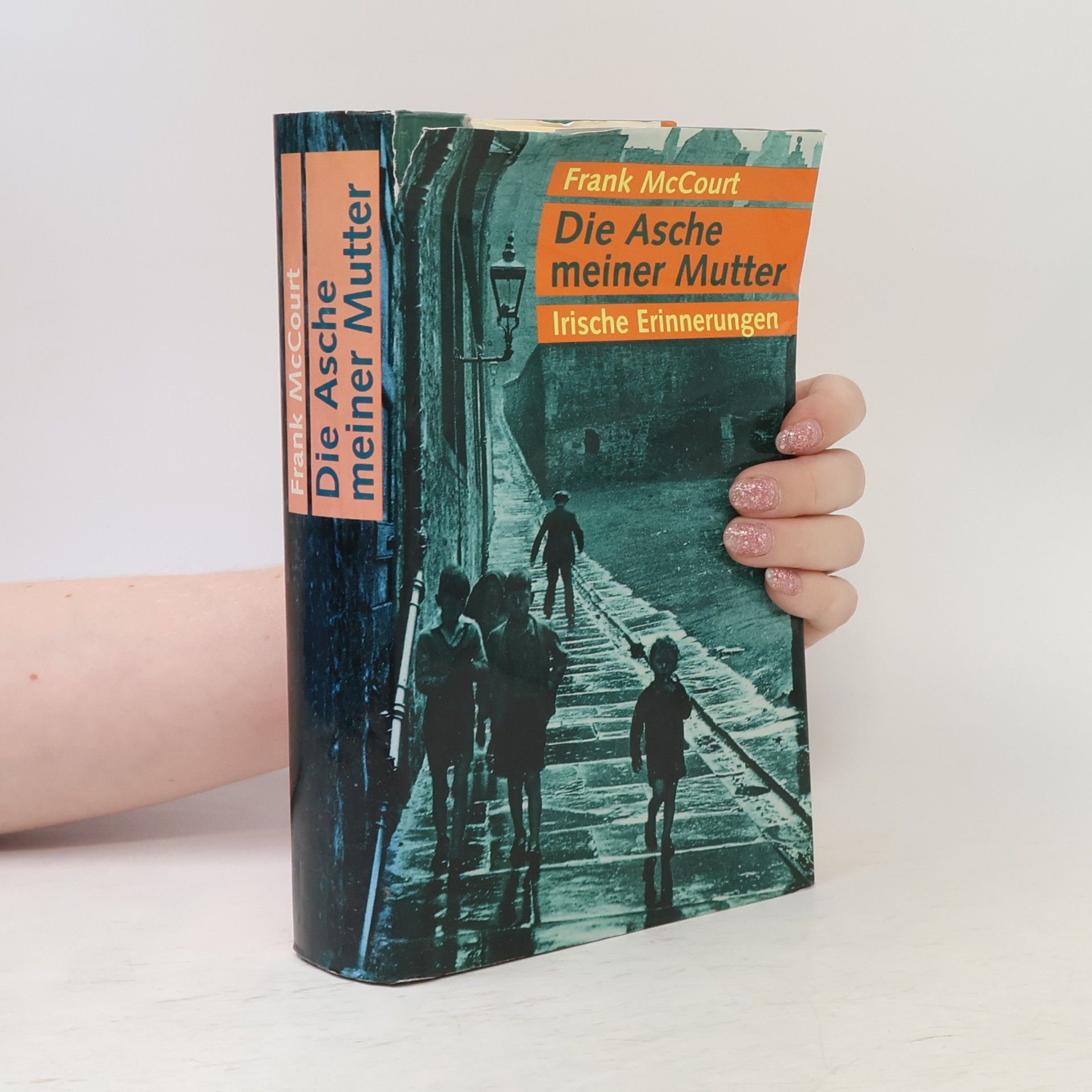 Frank McCourt Die Asche meiner Mutter