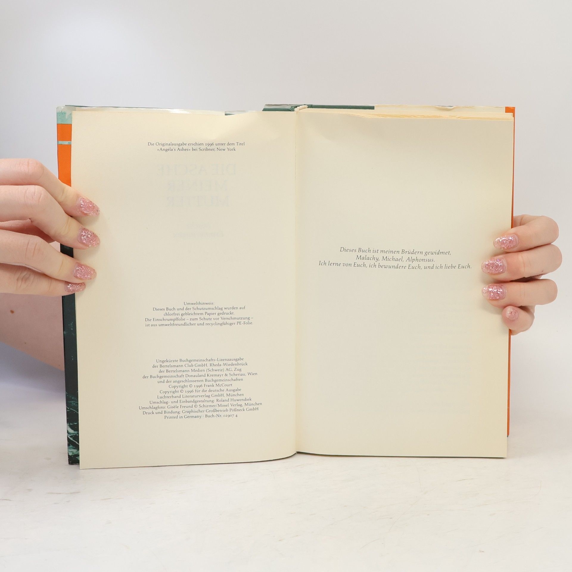 Frank McCourt Die Asche meiner Mutter